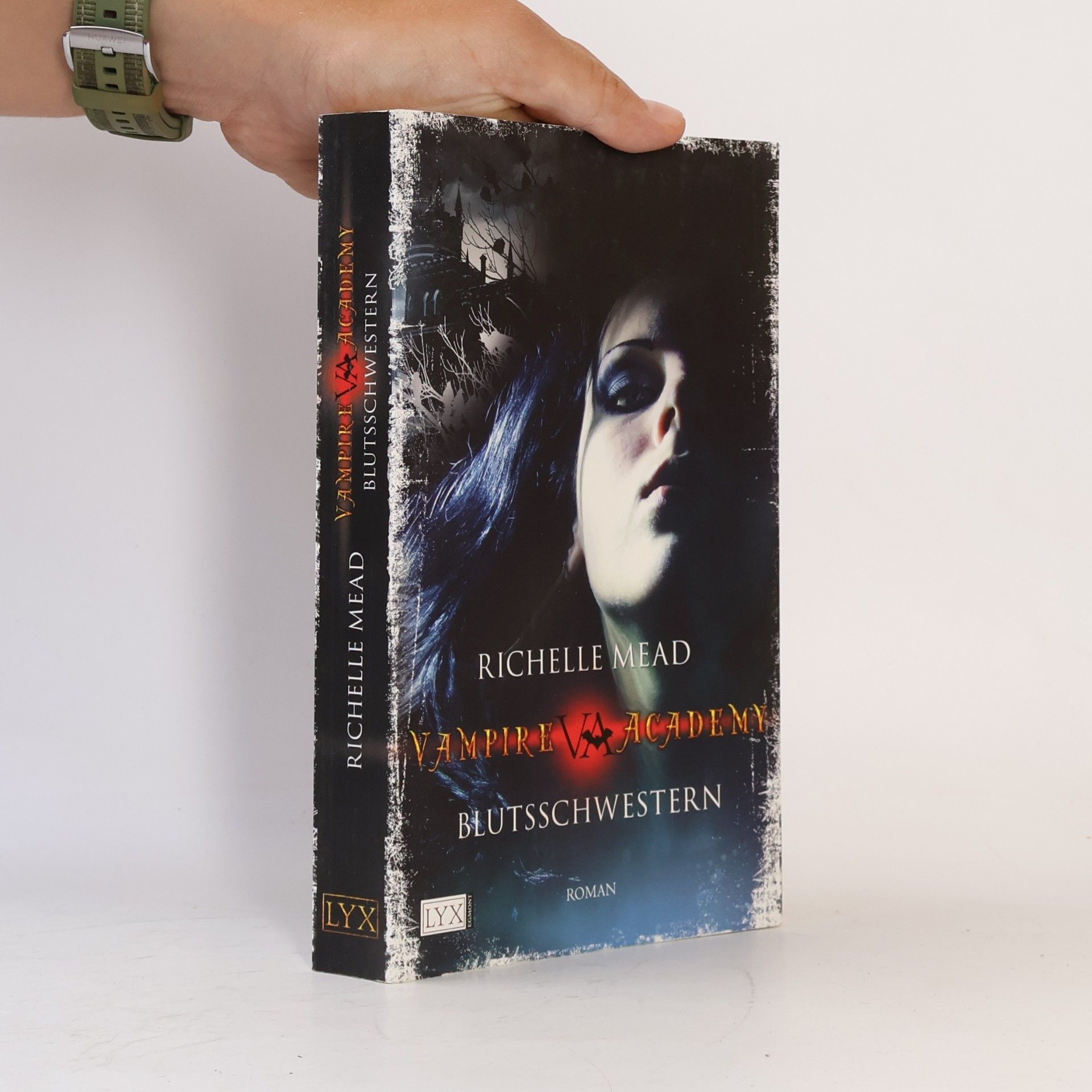 Richelle Mead Vampire Academy