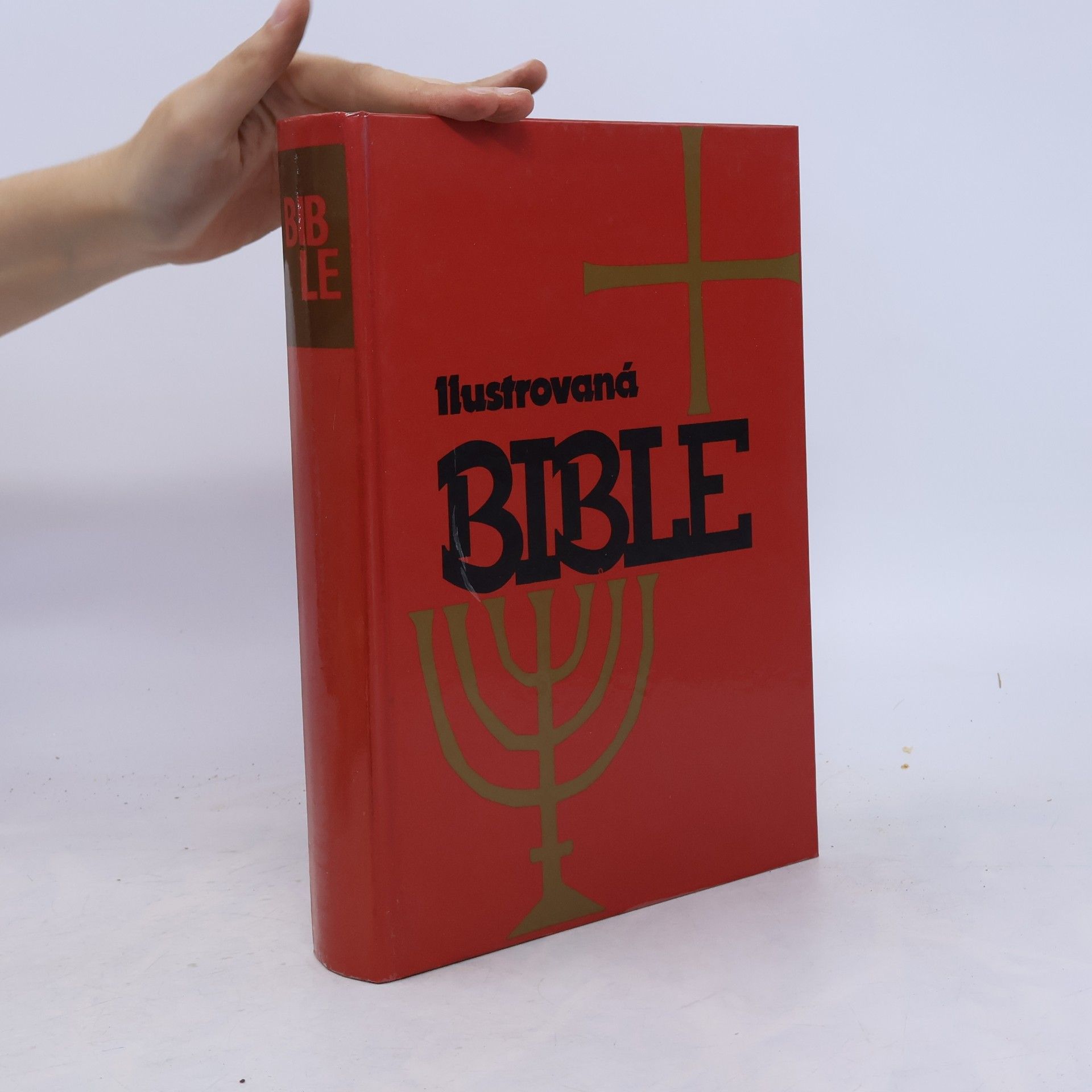 Samuel Terrien Ilustrovaná Bible pro mládež