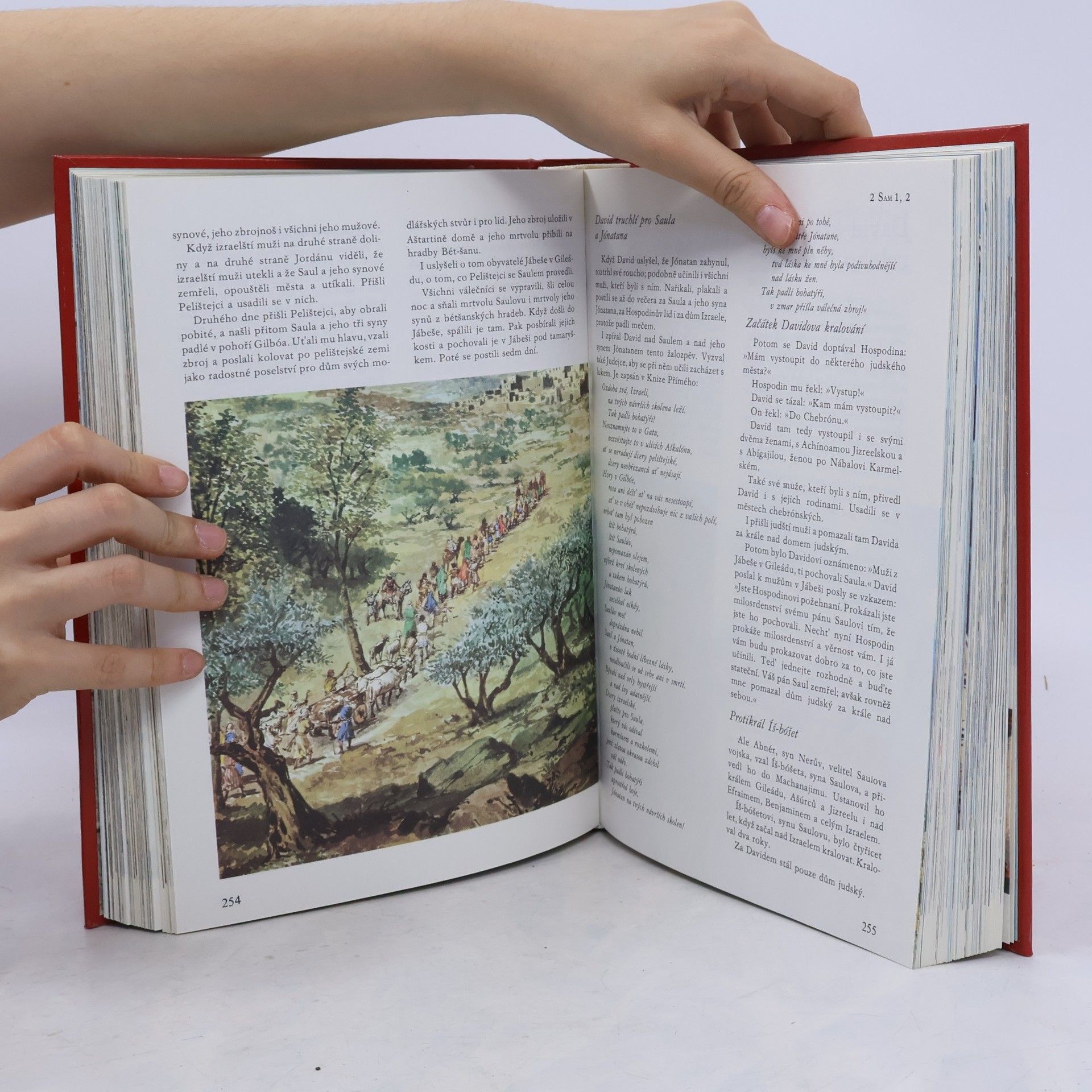 Samuel Terrien Ilustrovaná Bible pro mládež