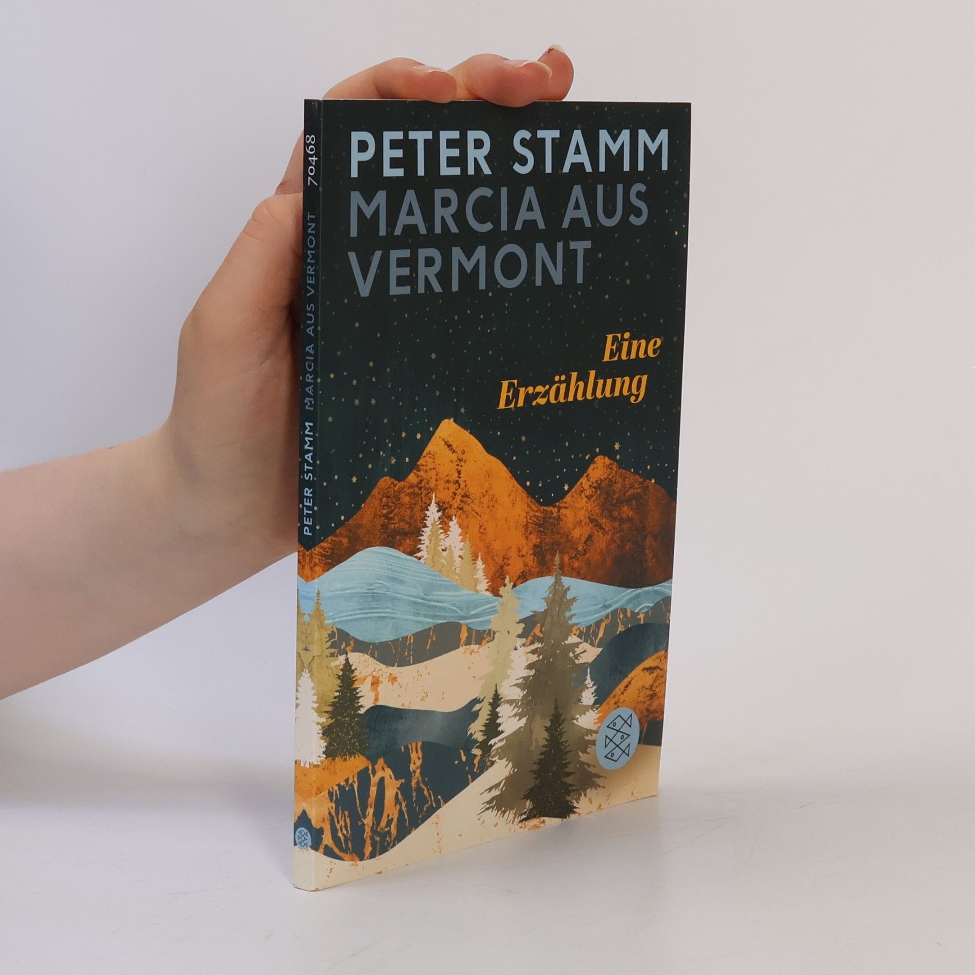 Peter Stamm Marcia aus Vermont