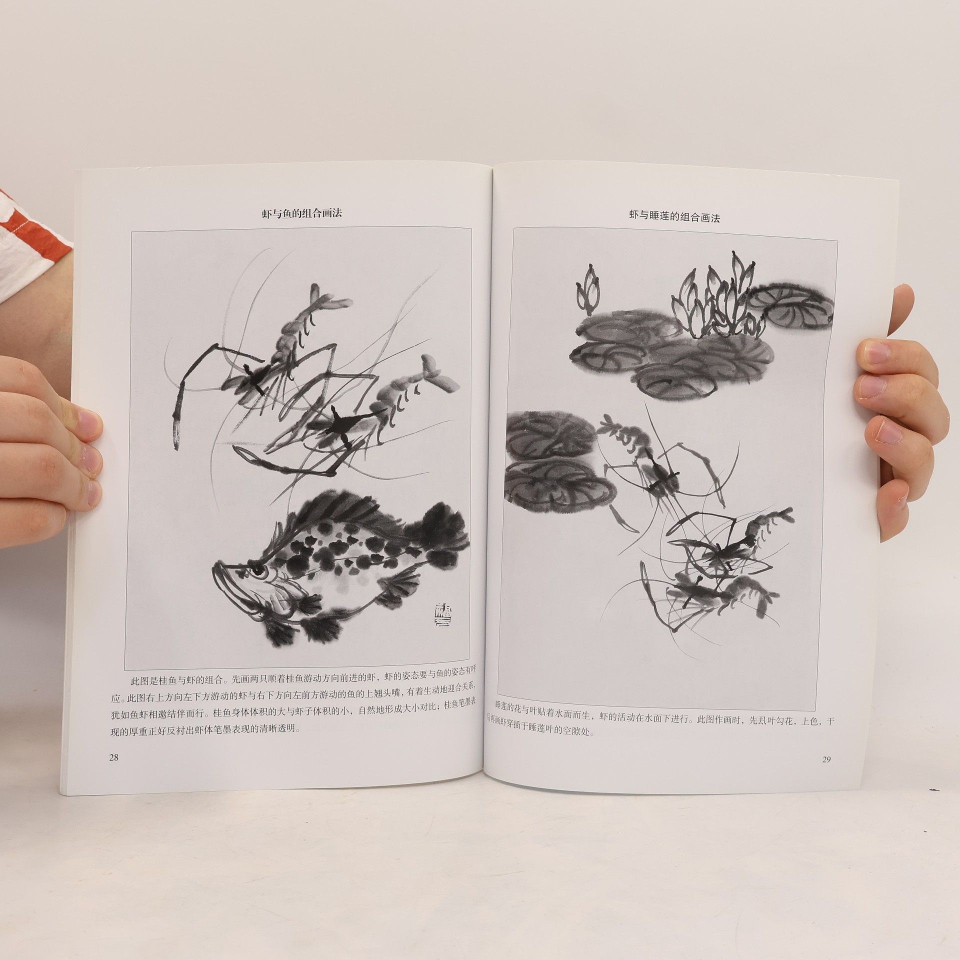 王福元 怎样画虾