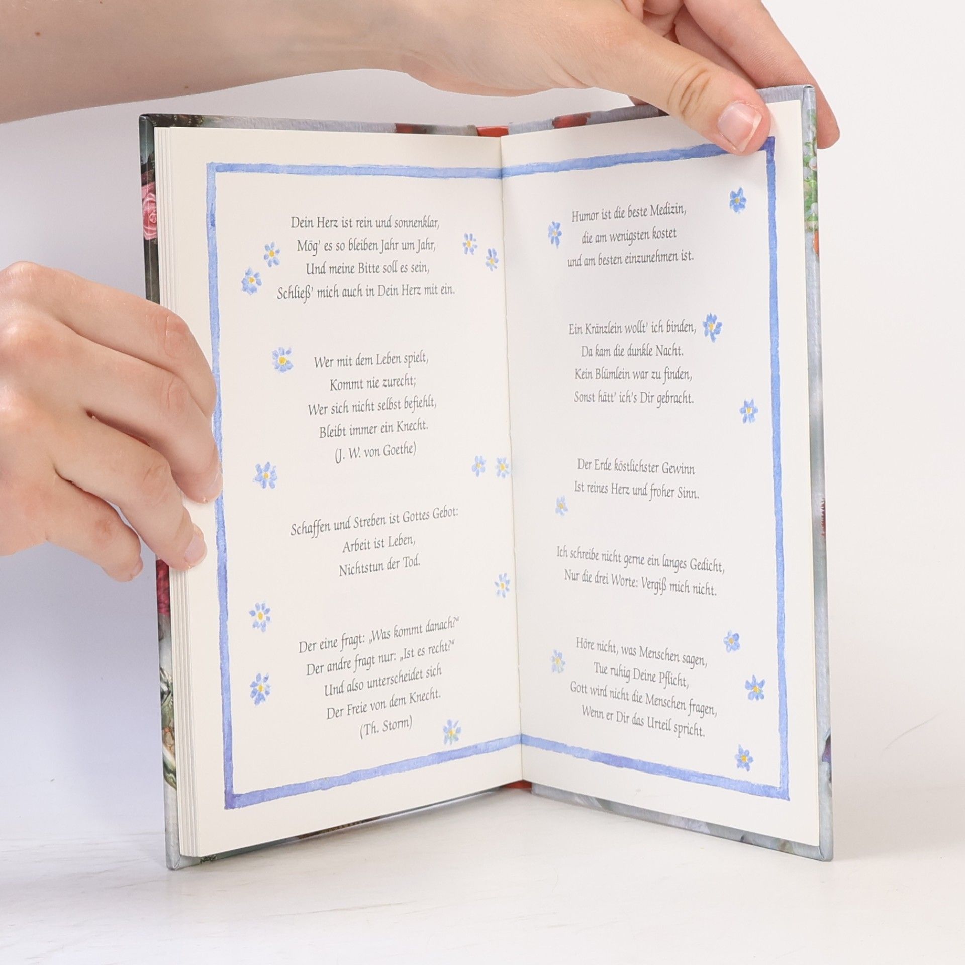 Collectif d'auteurs Großmutters Verse fürs Poesiealbum