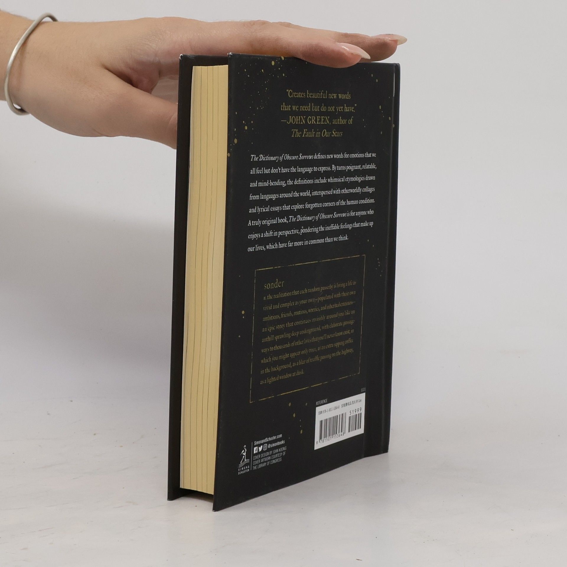 John Koenig The Dictionary of Obscure Sorrows