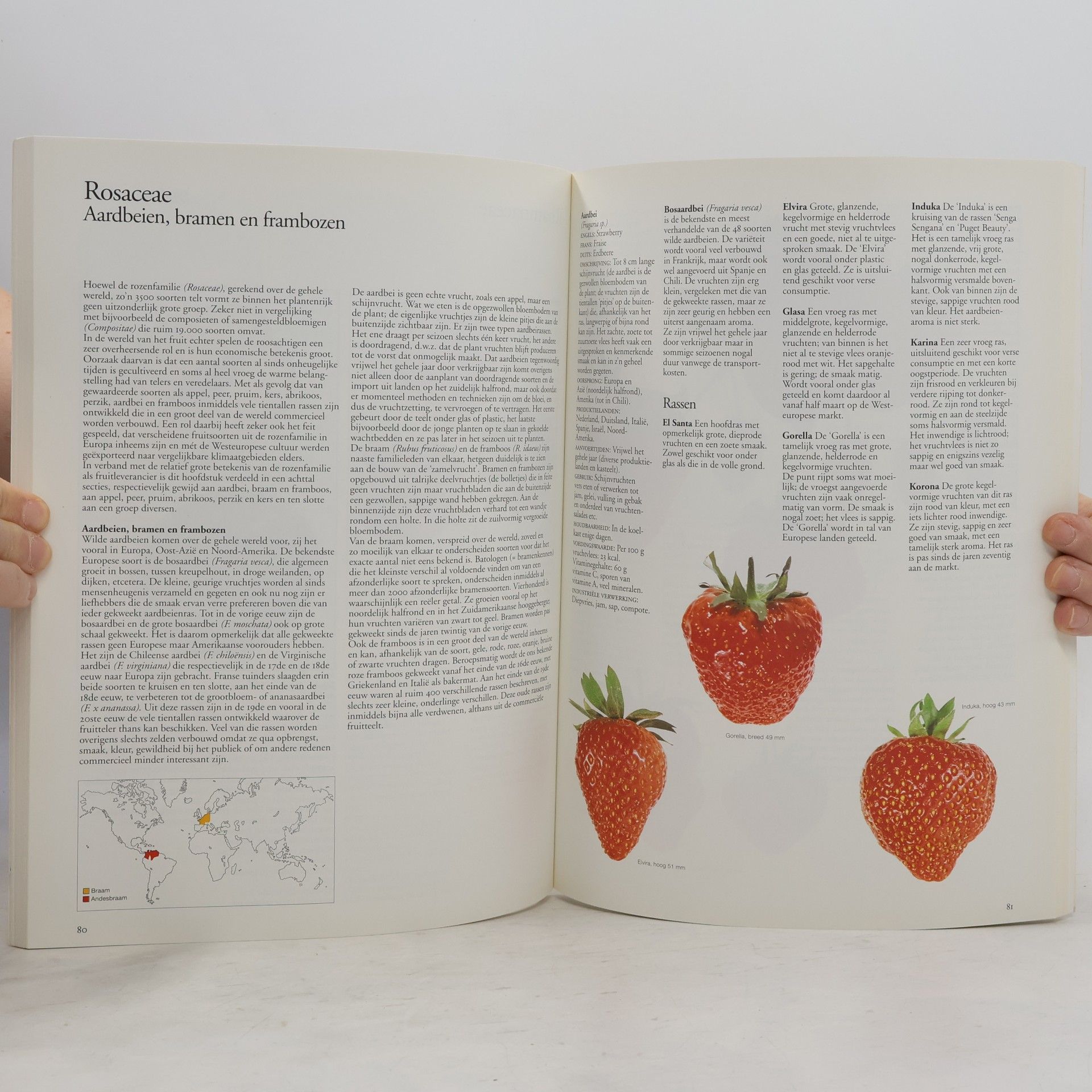 Dick Pijpers Spectrum Gids: Fruit uit alle windstreken