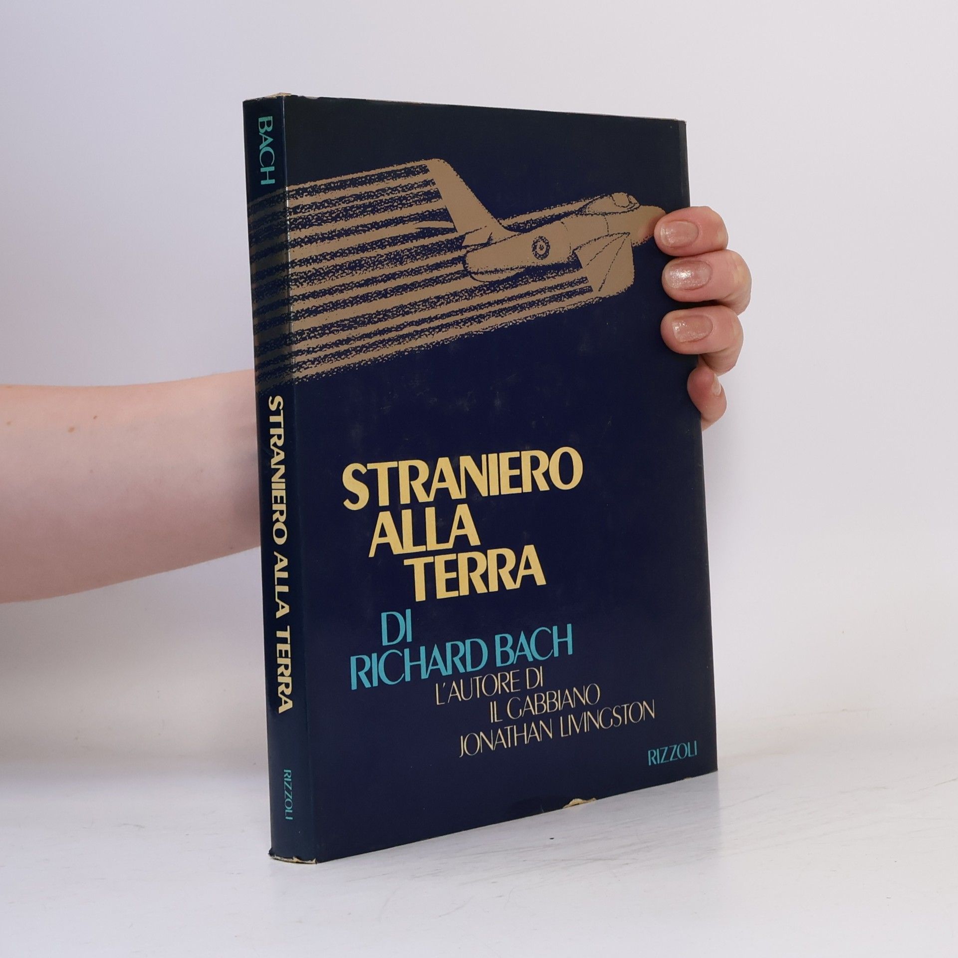 Alberto Cercereri Straniero alla terra