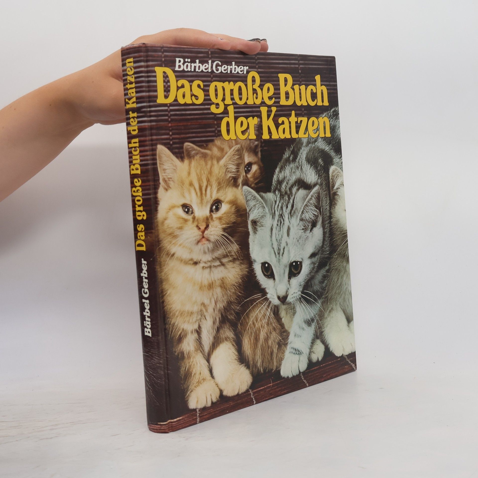 Bärbel Gerber Das große Buch der Katzen