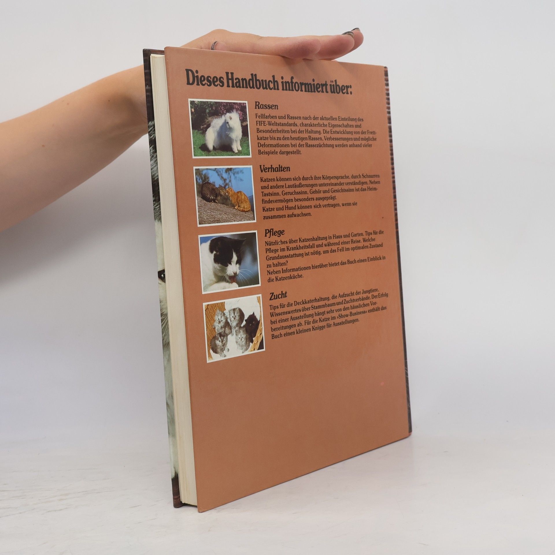 Bärbel Gerber Das große Buch der Katzen