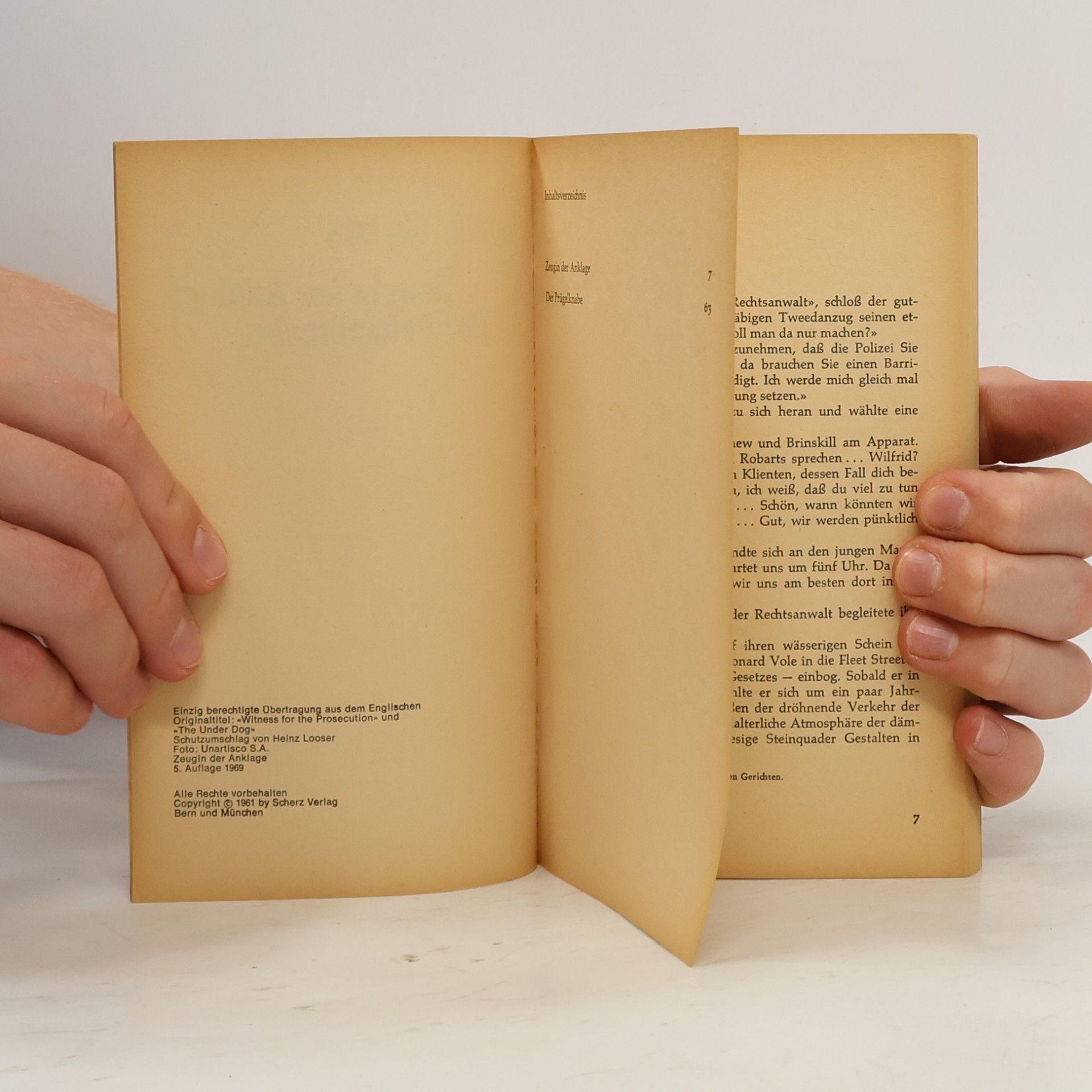 Agatha Christie Zeugin der Anklage. Der Prügelknabe