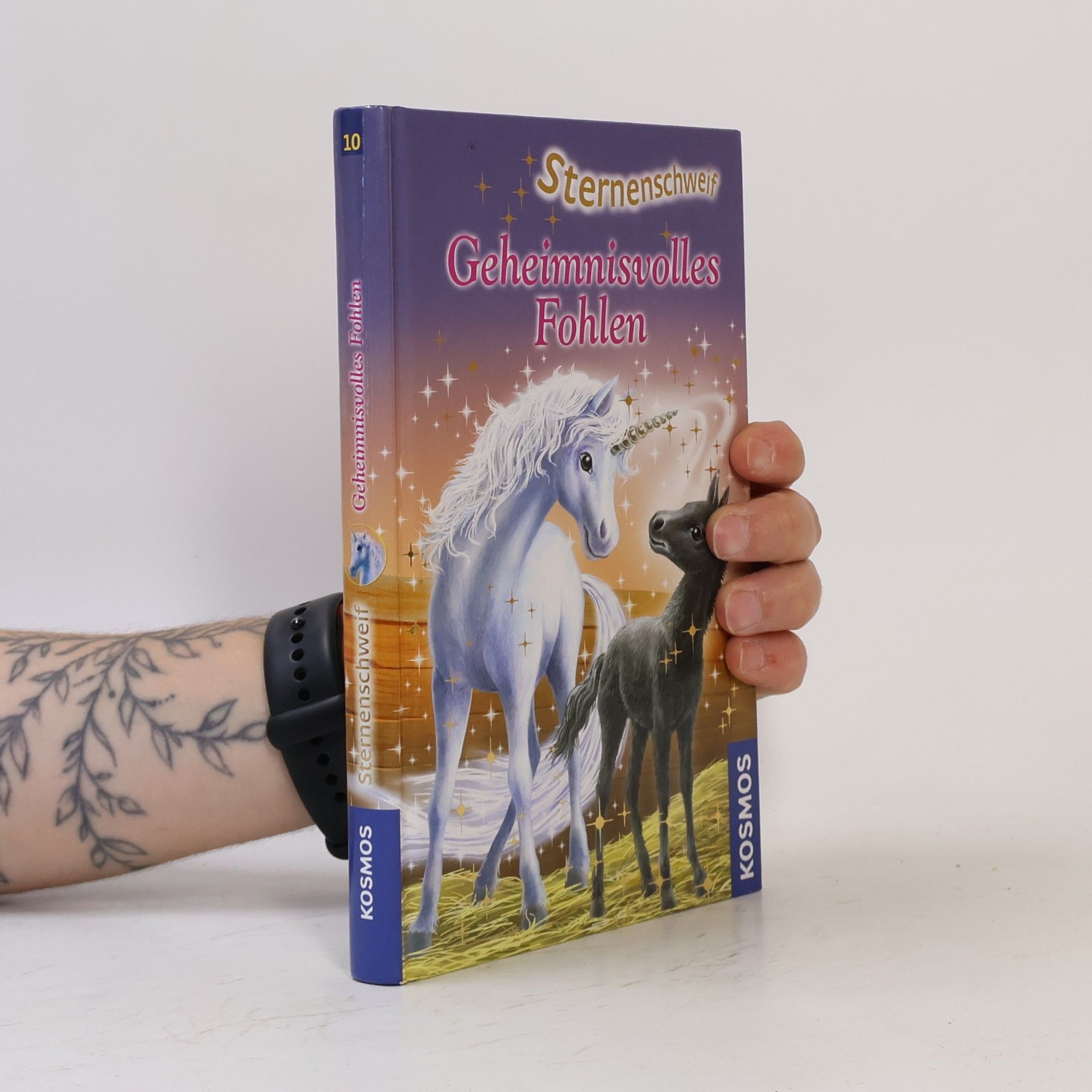 Linda Champan Sternenschweif : Geheimnisvolles Fohlen