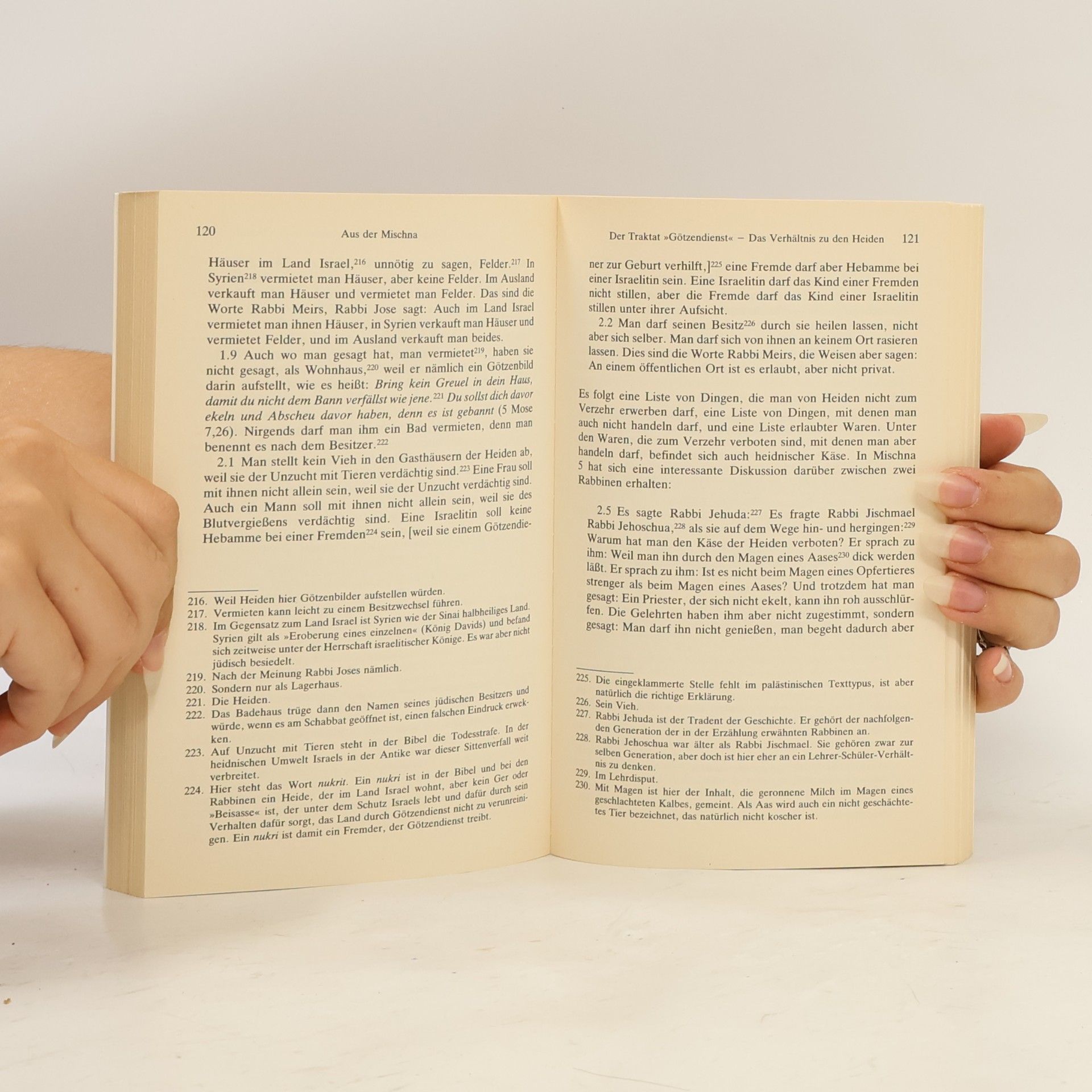Michael Krupp Der Talmud