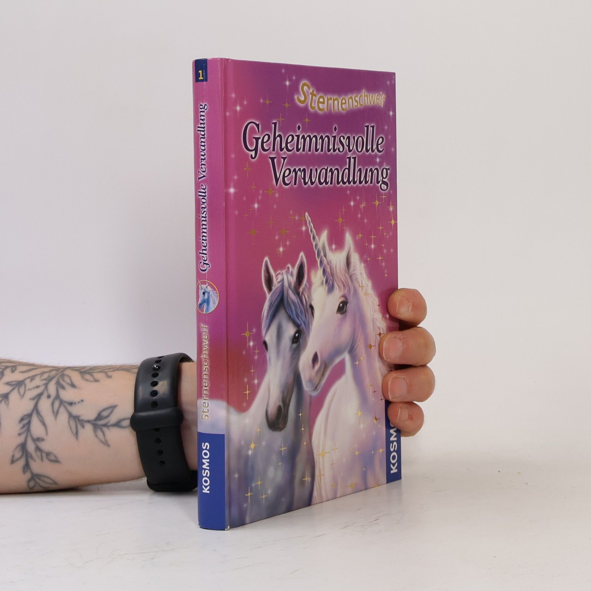 Linda Chapman Geheimnisvolle Verwandlung