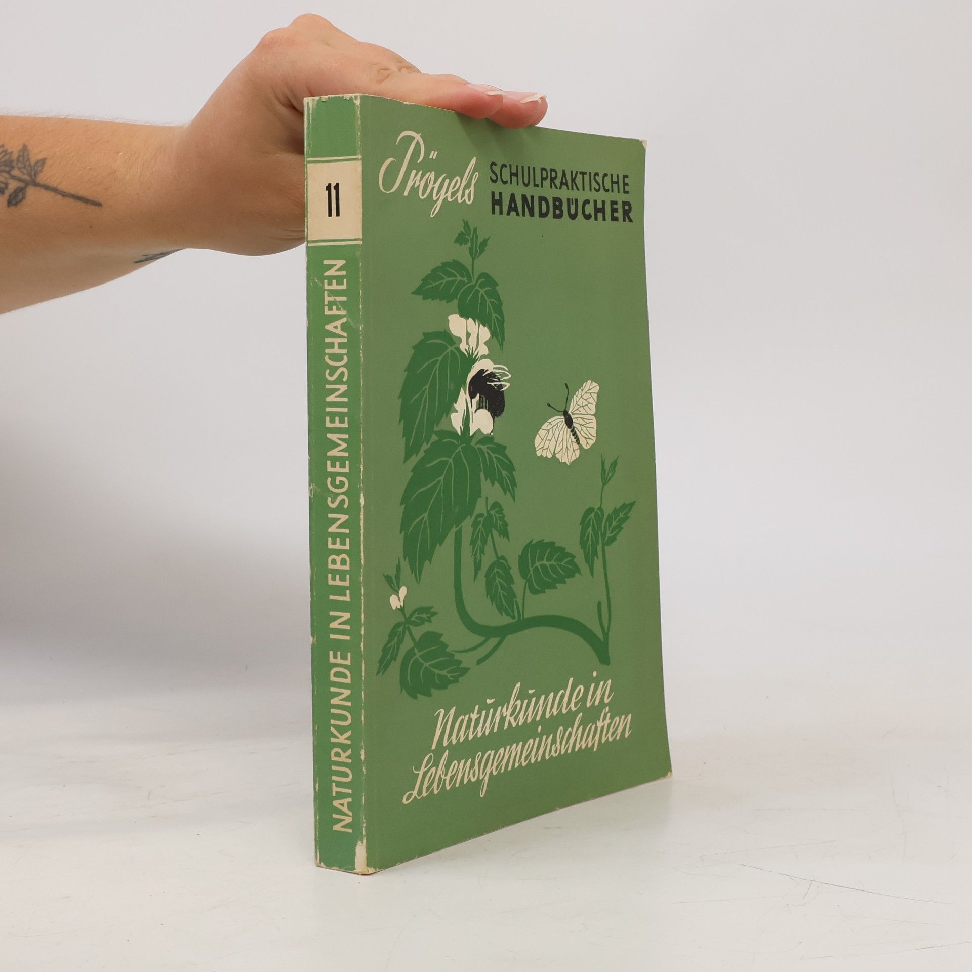 Autorenkollektiv Naturkunde in Lebensgemeinschaften