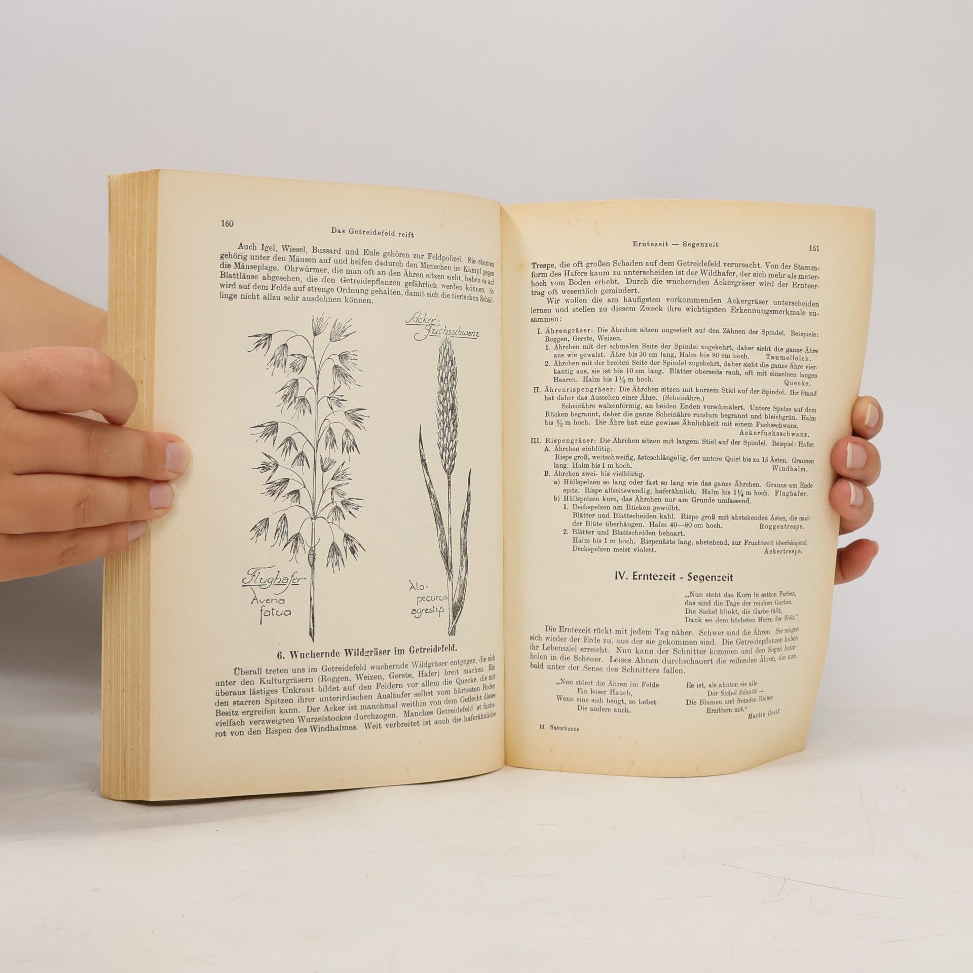 Autorenkollektiv Naturkunde in Lebensgemeinschaften