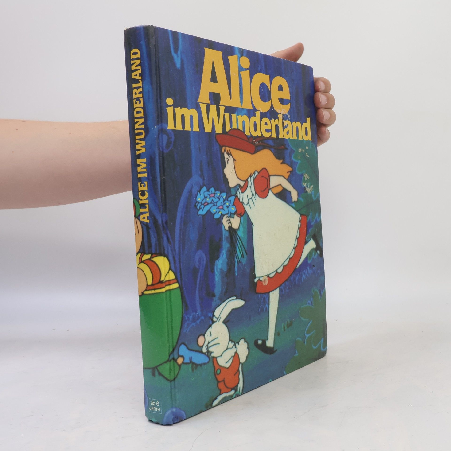 Autorenkollektiv Alice im Wunderland