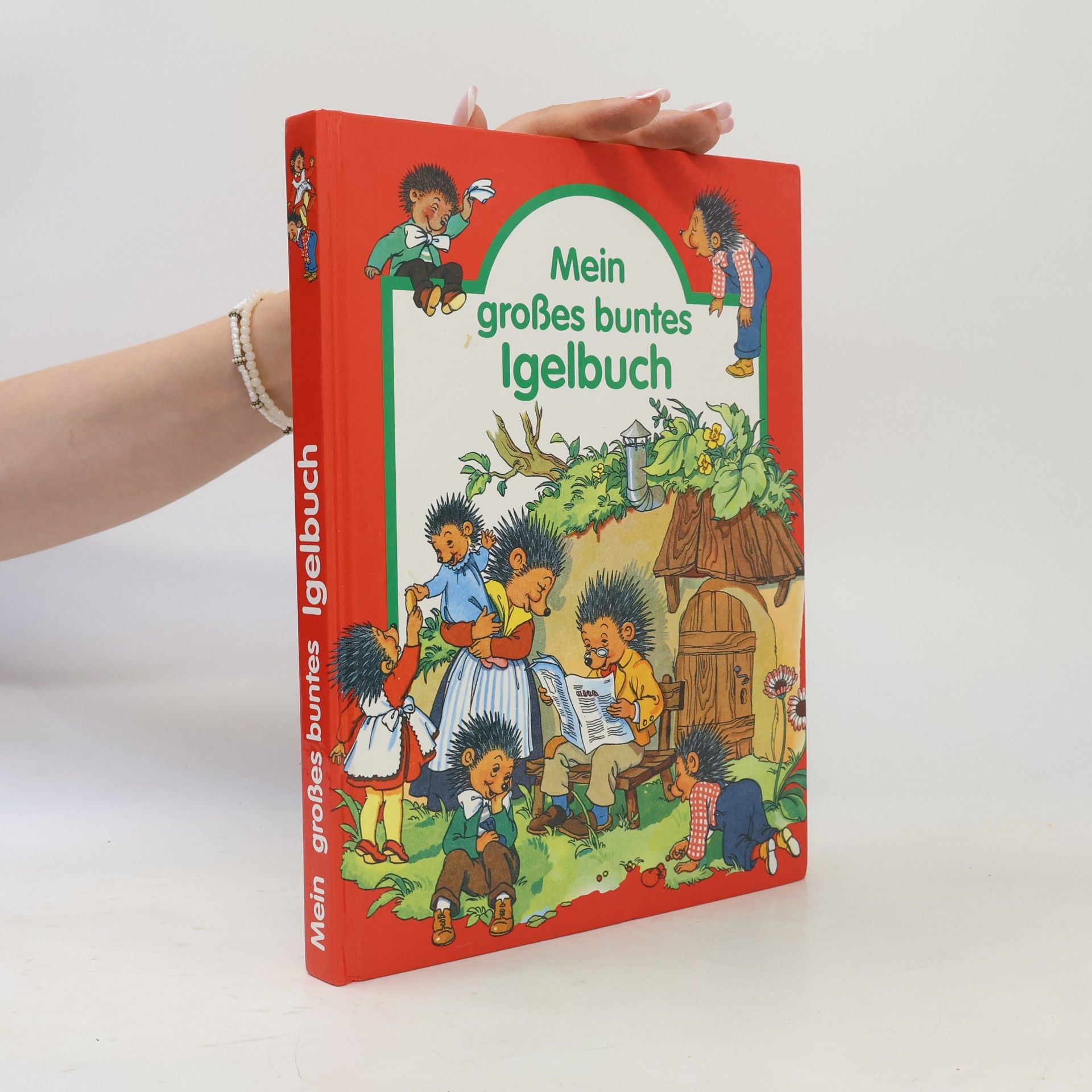 Enid Blyton Märchenwunderland