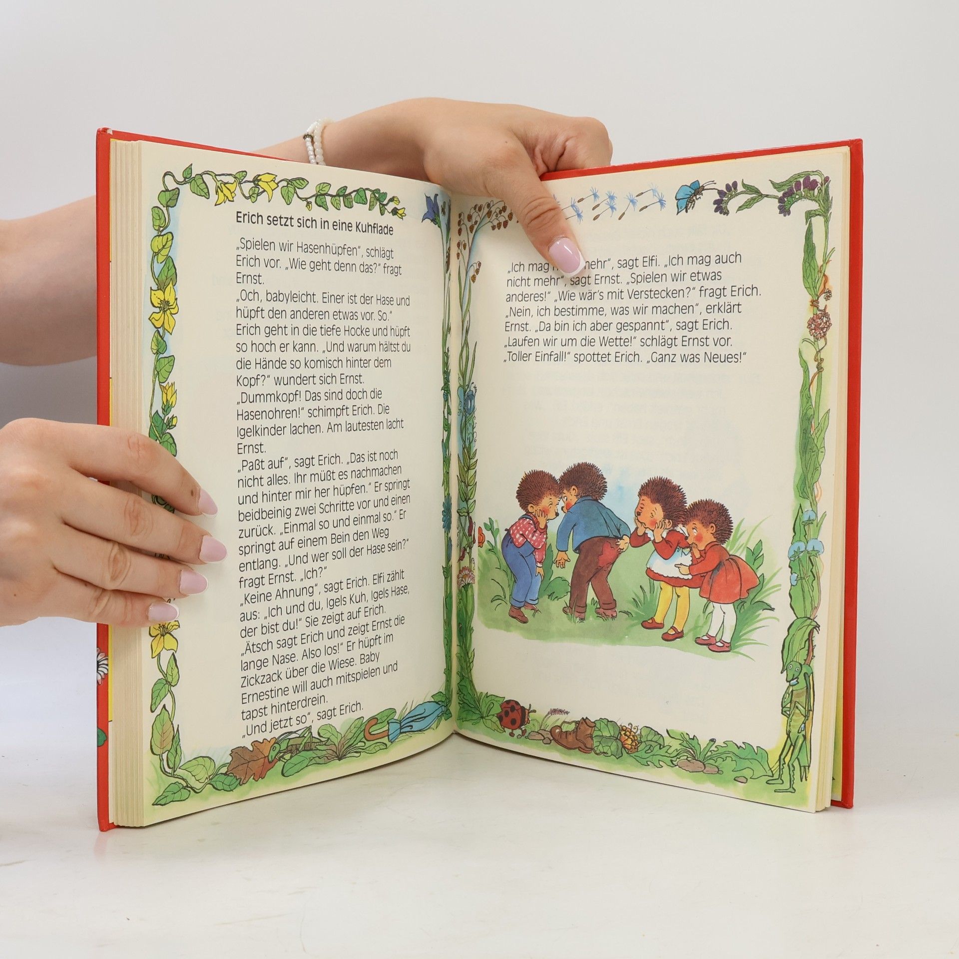 Enid Blyton Märchenwunderland