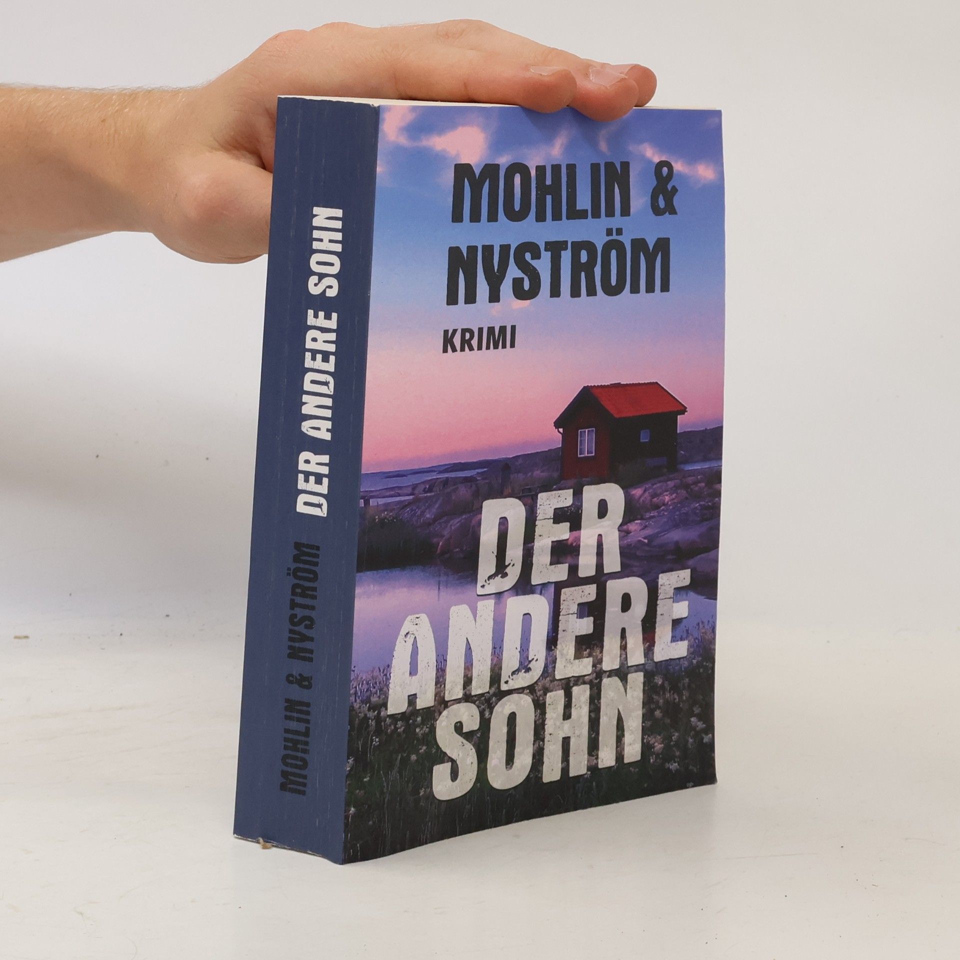 Peter Mohlin Der andere Sohn