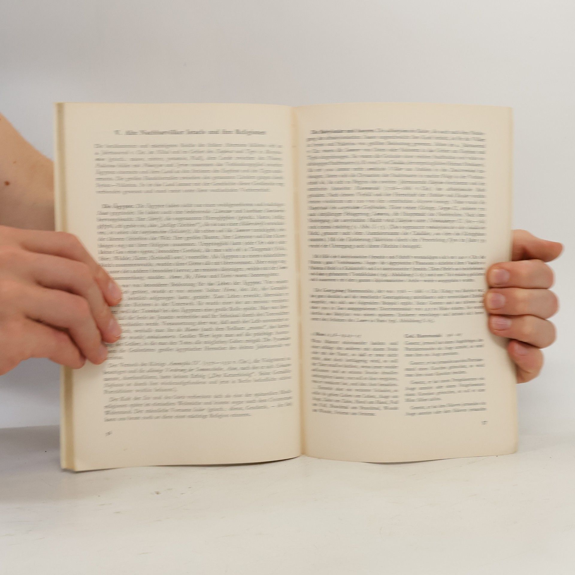 Das Buch der Bücher. Eine Bibelkunde