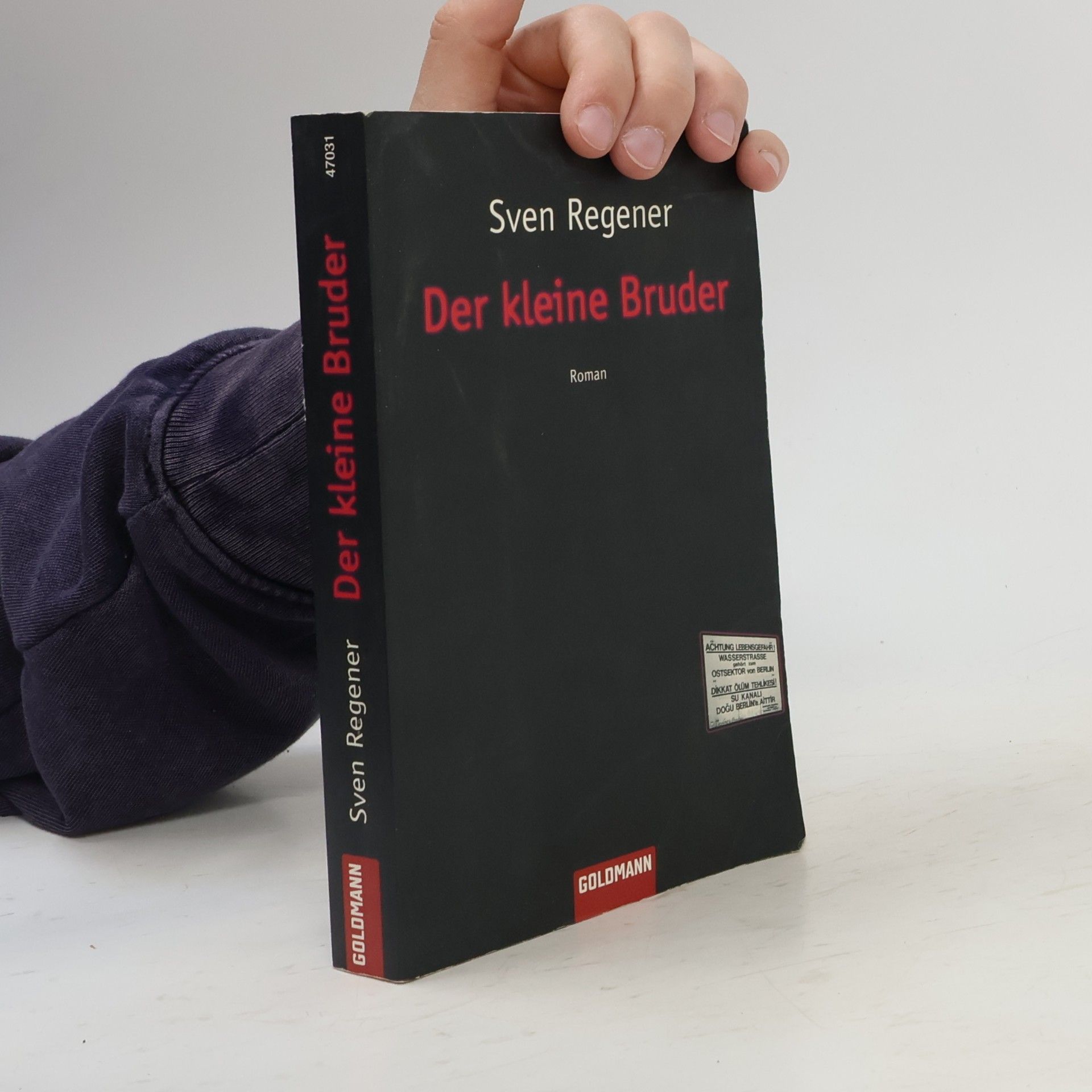 Sven Regener Der kleine Bruder