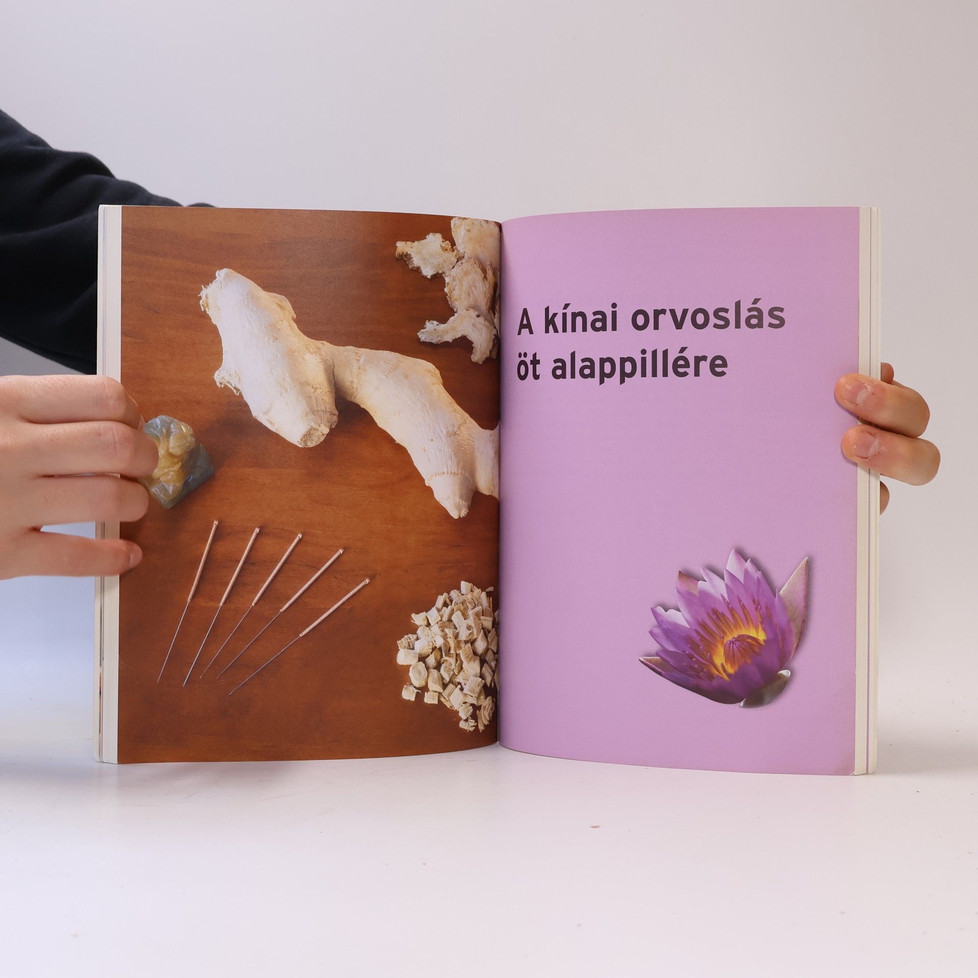 Cornelia Raab Hagyományos kínai orvoslás kezdőknek