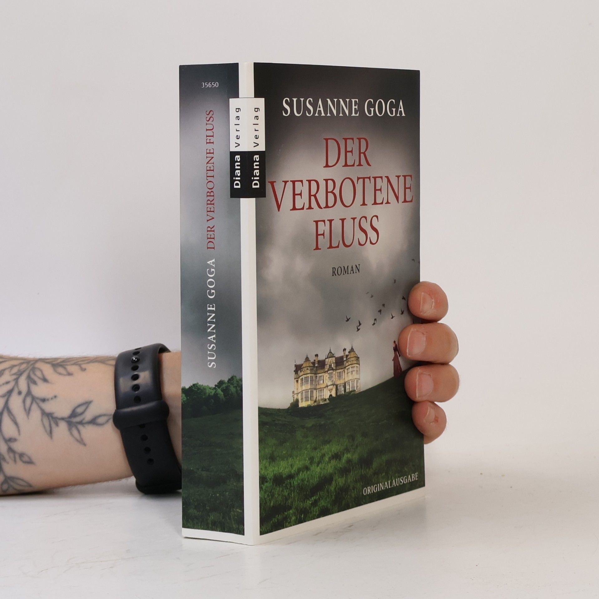 Susanne Goga Der verbotene Fluss