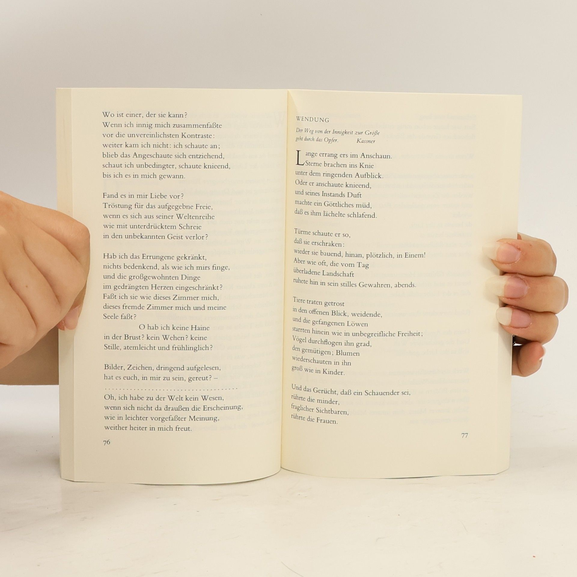 Rainer Maria Rilke Ausgesetzt auf den Bergen des Herzens