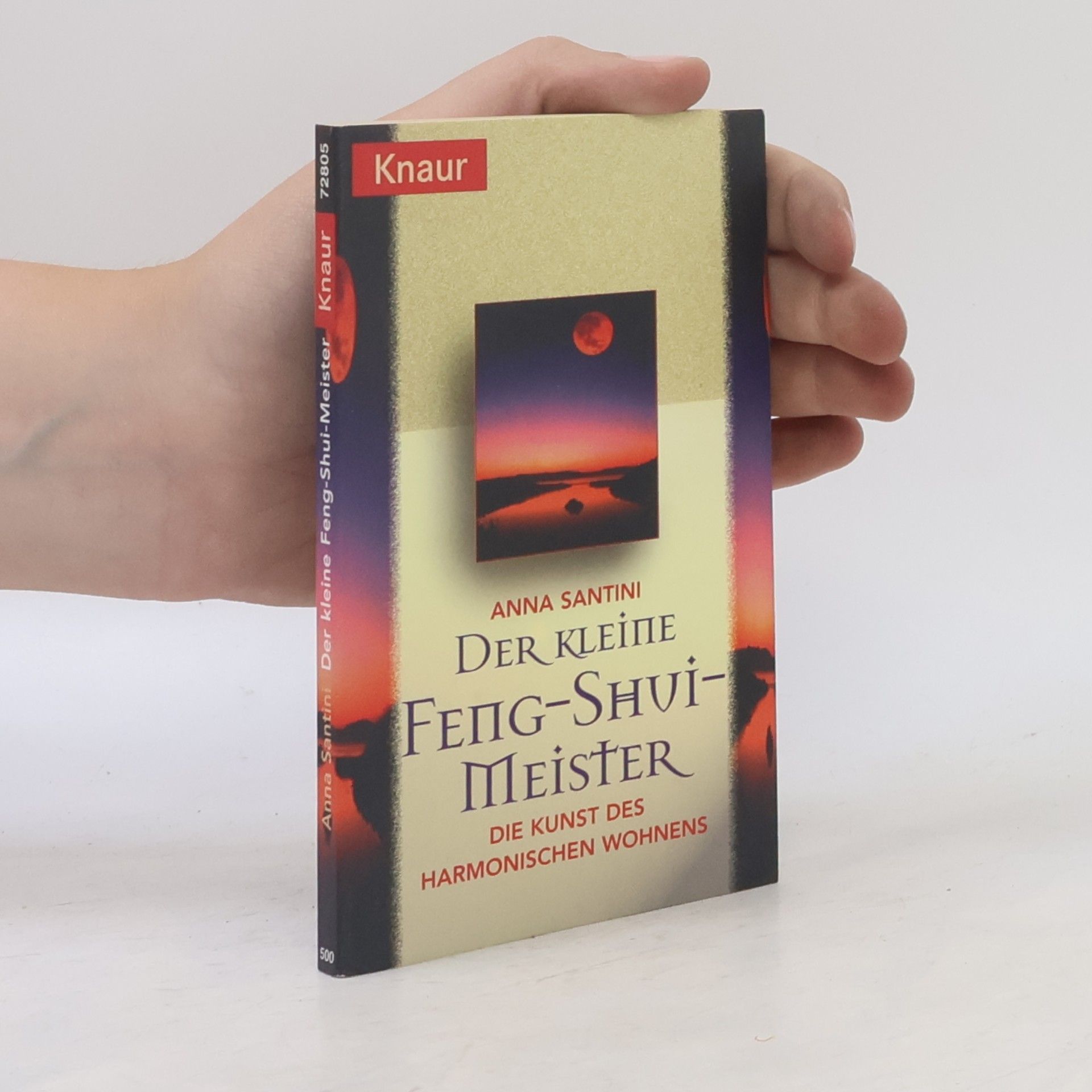 Anna Santini Der kleine Feng-Shui-Meister