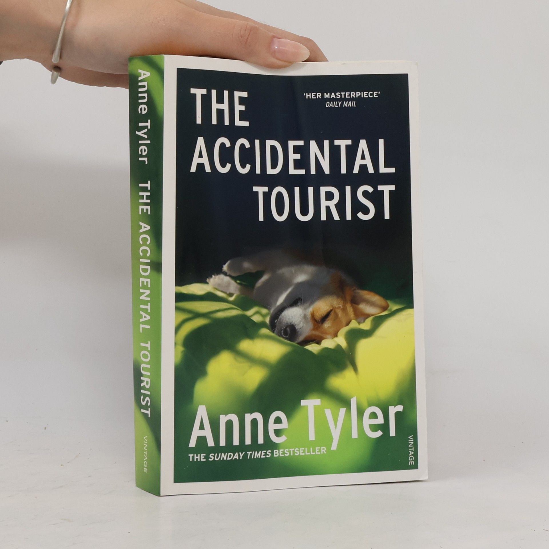 The Accidental Tourist