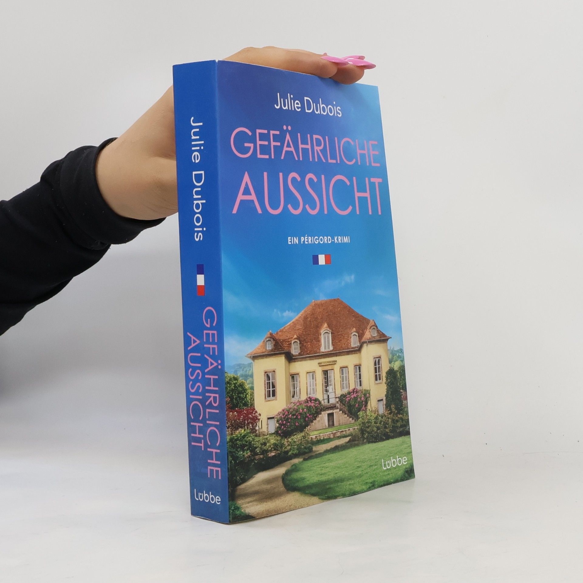 Julie Dubois Gefährliche Aussicht