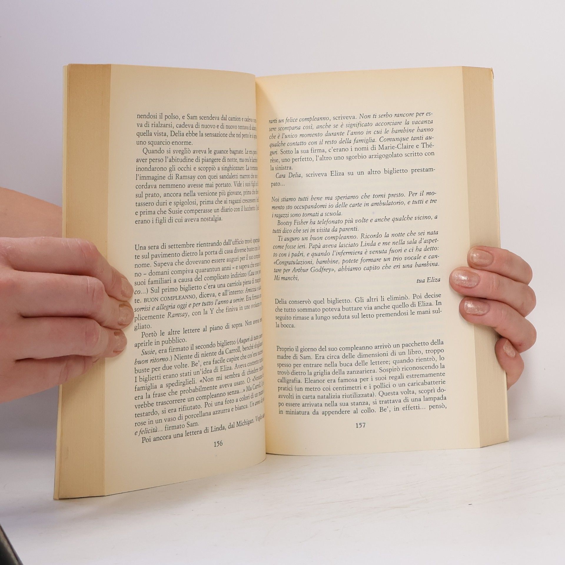 Anne Tyler Narratori della Fenice: Per puro caso