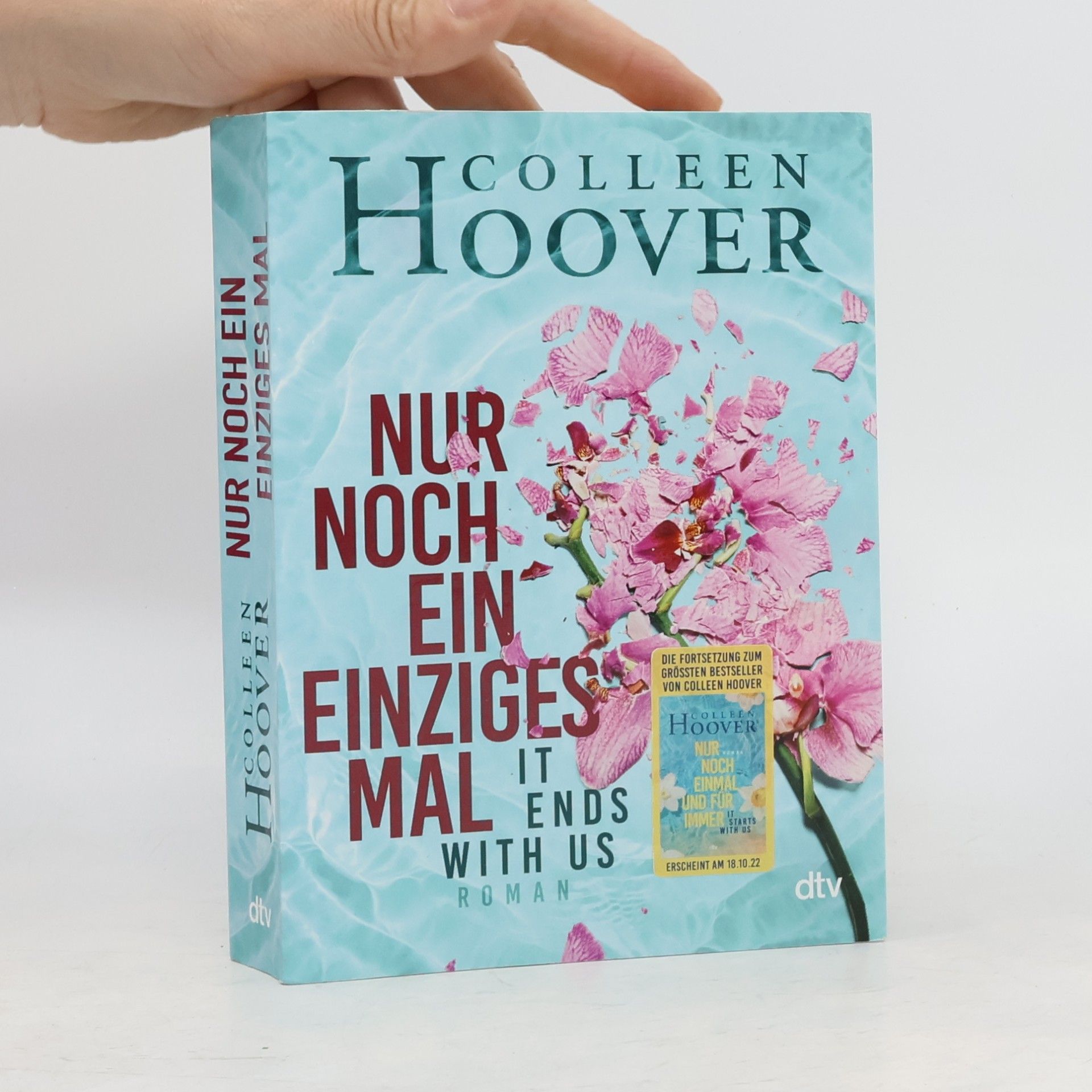 Colleen Hoover Nur noch ein einziges Mal
