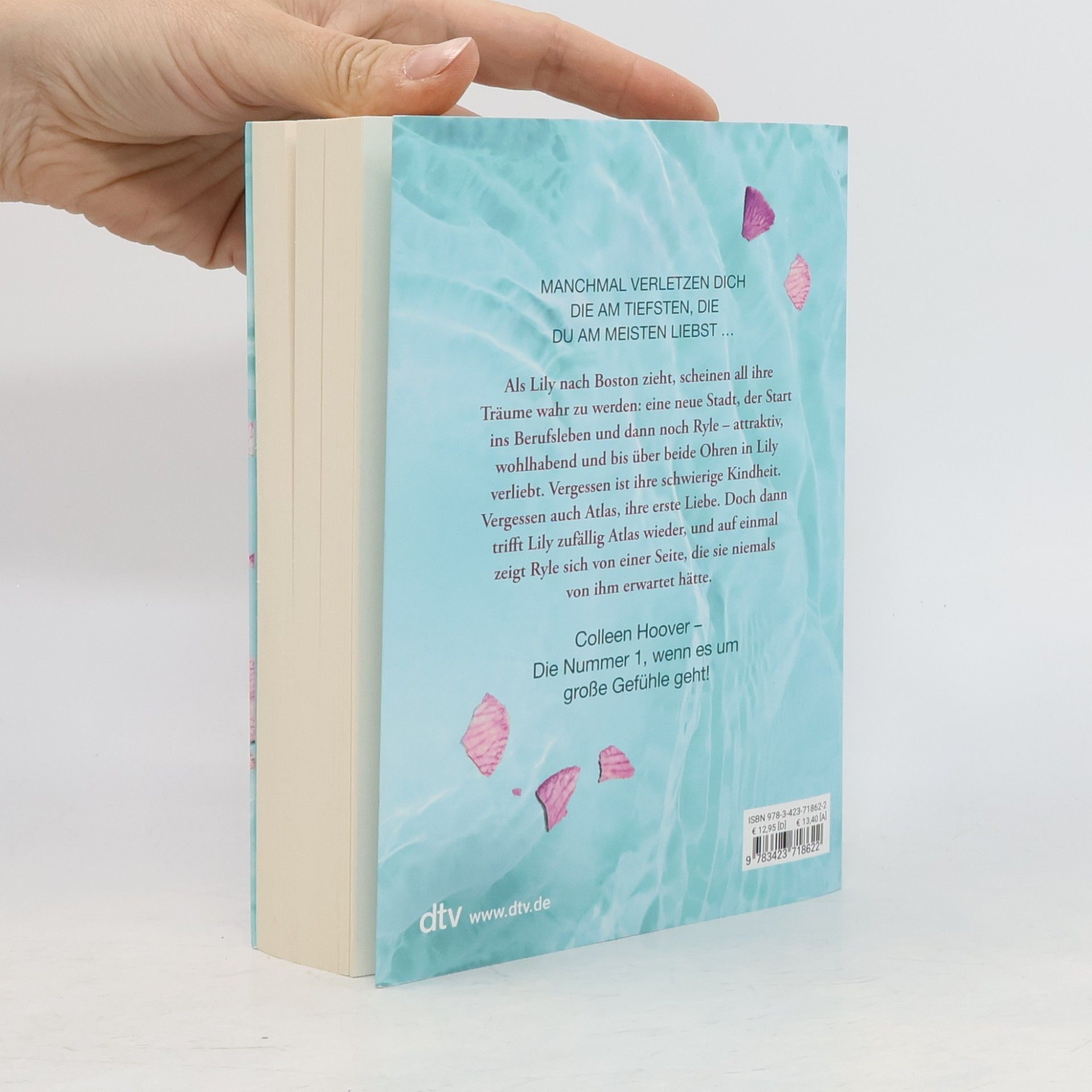 Colleen Hoover Nur noch ein einziges Mal