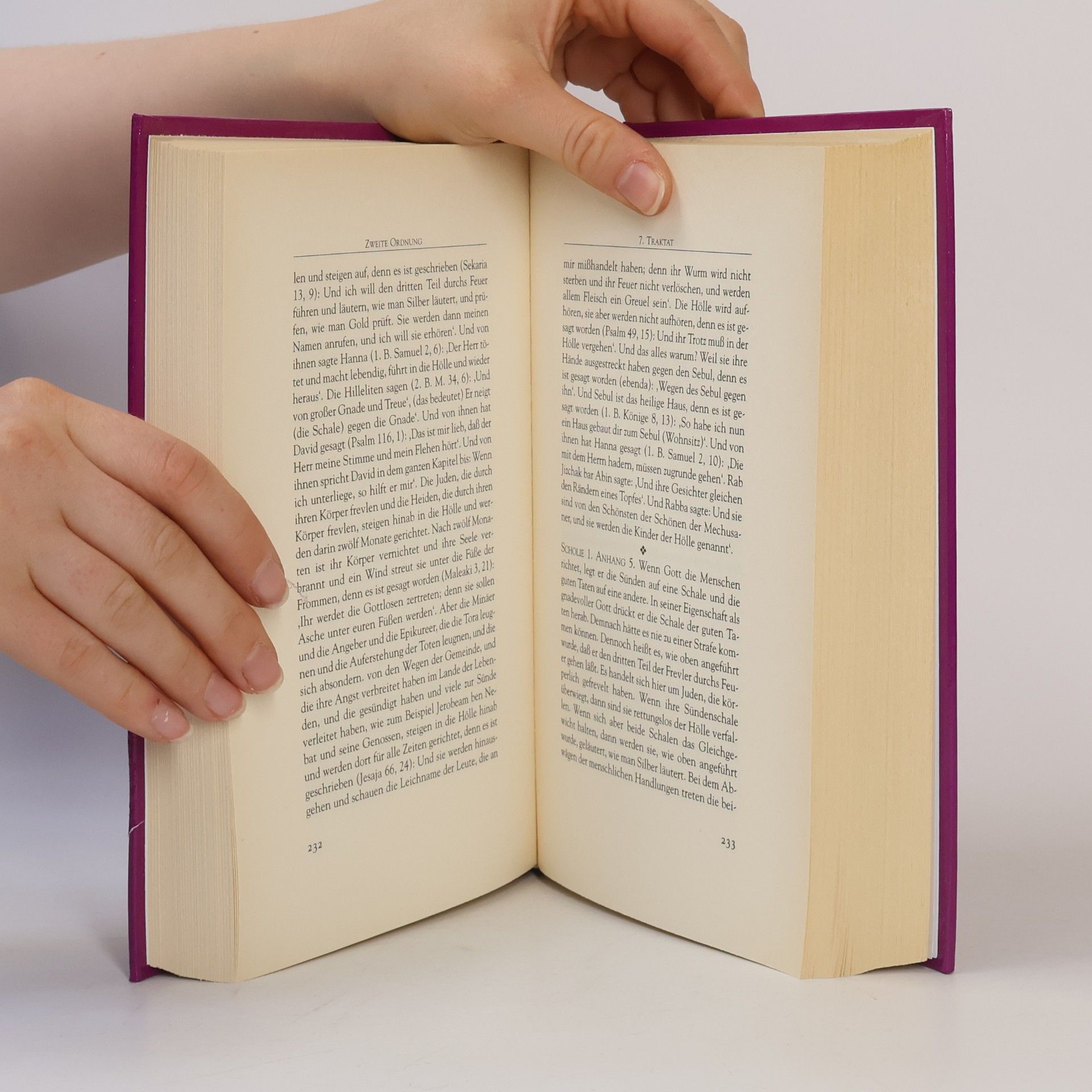 Jakob Fromer Der babylonische Talmud