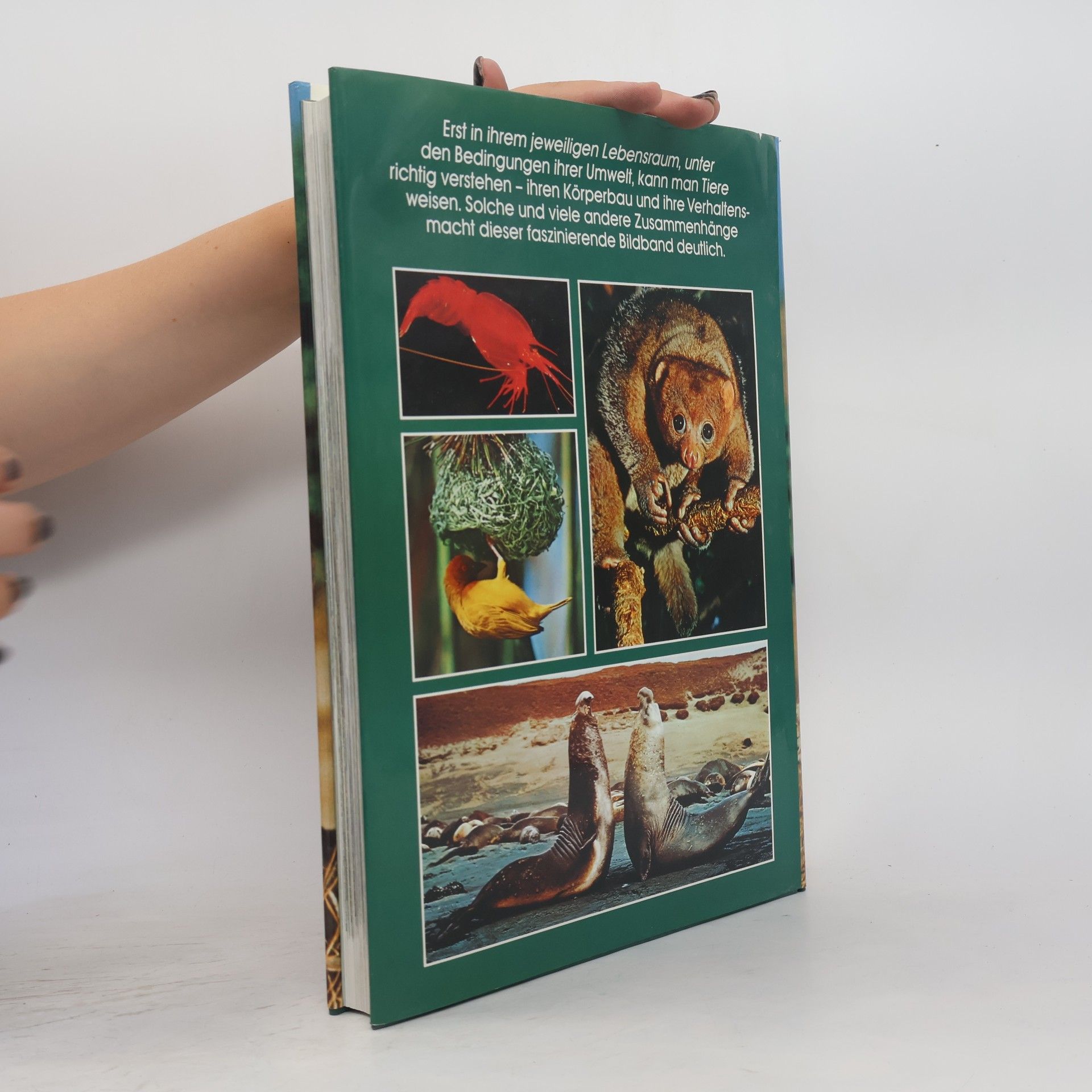 A. Blair-Rains Bildatlas der Tierwelt