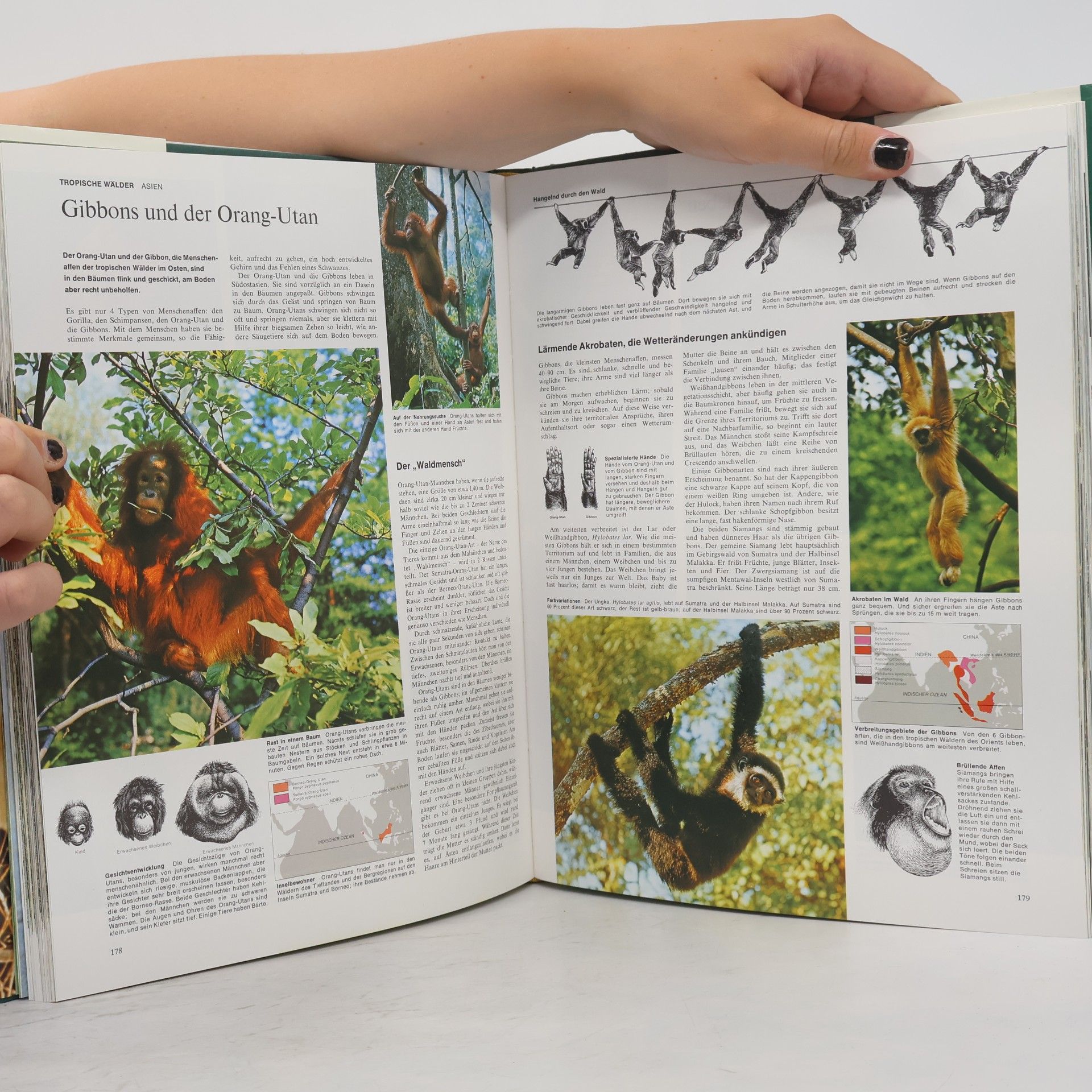 A. Blair-Rains Bildatlas der Tierwelt
