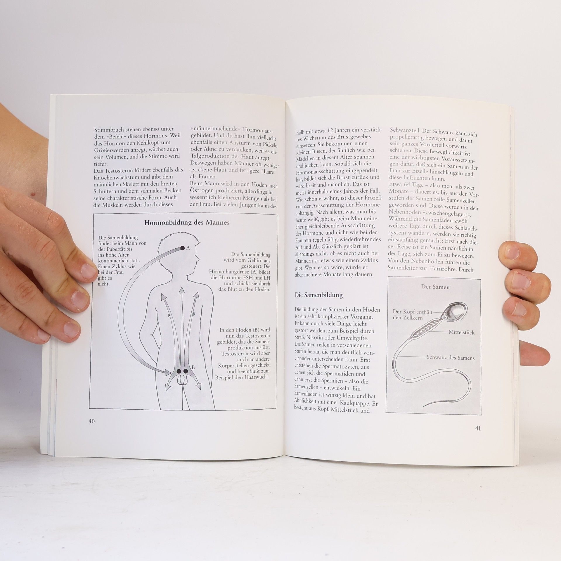 Sylvia Schneider Das Aufklärungsbuch