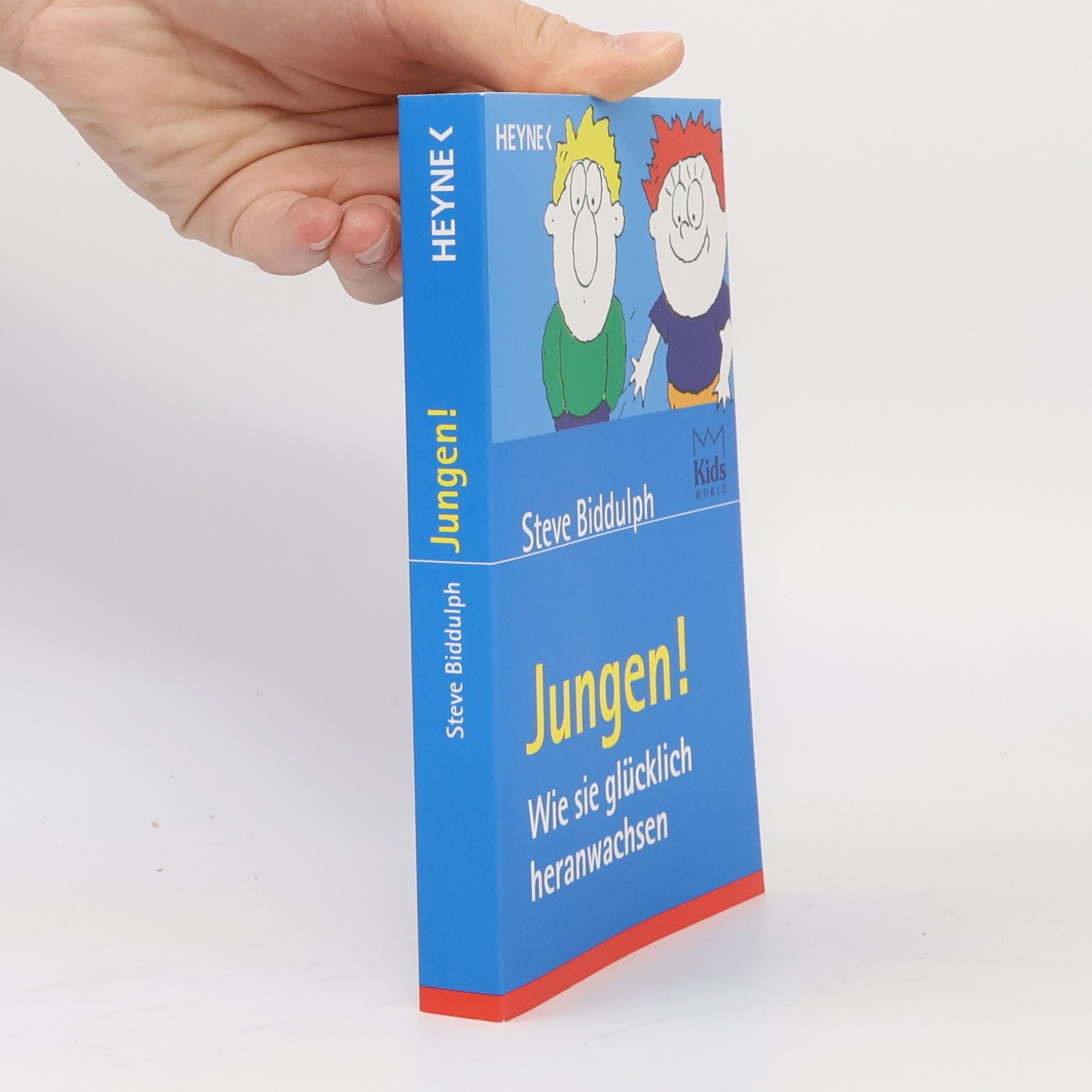 Steve Biddulph Jungen. Wie sie glücklich heranwachsen