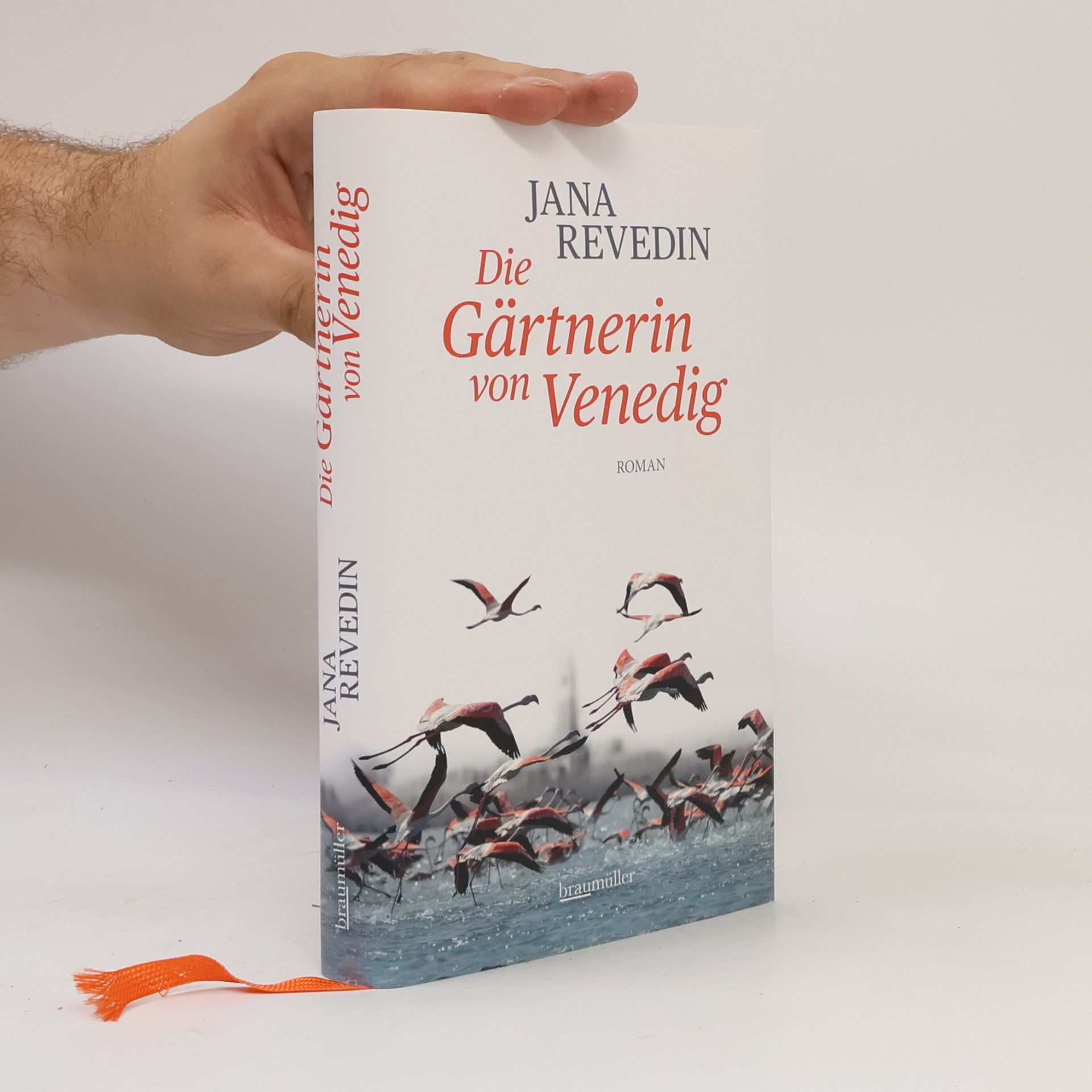 Jana Revedin Die Gärtnerin von Venedig
