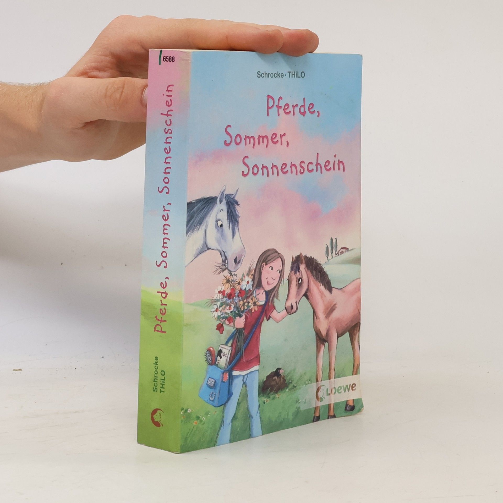 Pferde, Sommer, Sonnenschein. Ein Pferd im Gepäck; Im Galopp ins Fettnäpfchen. Doppelband