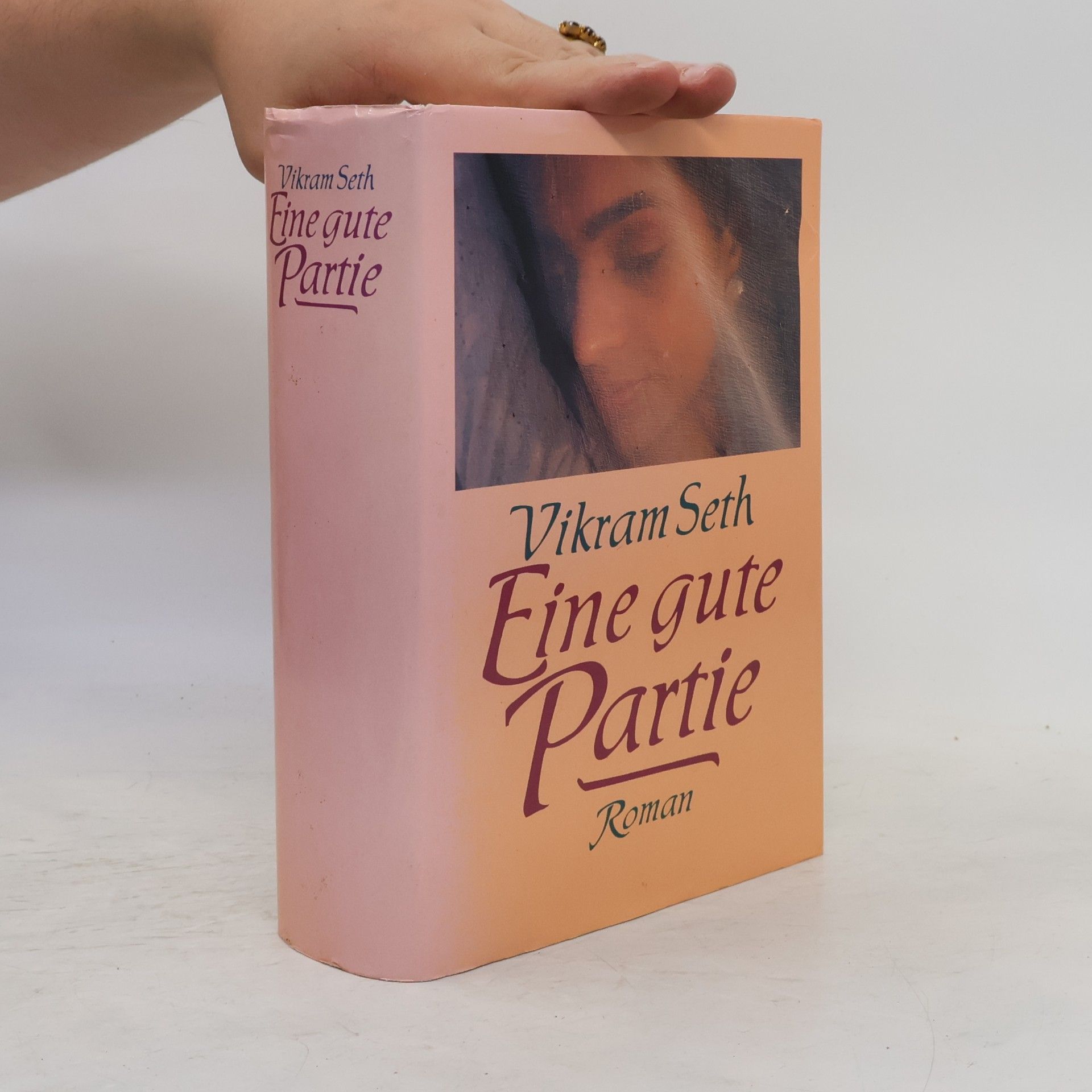 Vikram Seth Eine gute Partie
