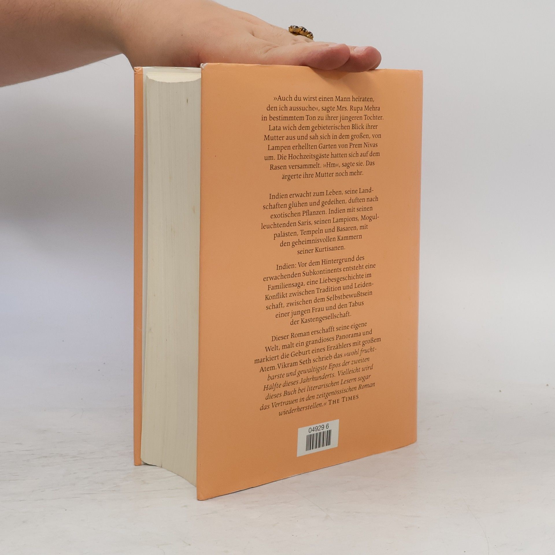 Vikram Seth Eine gute Partie