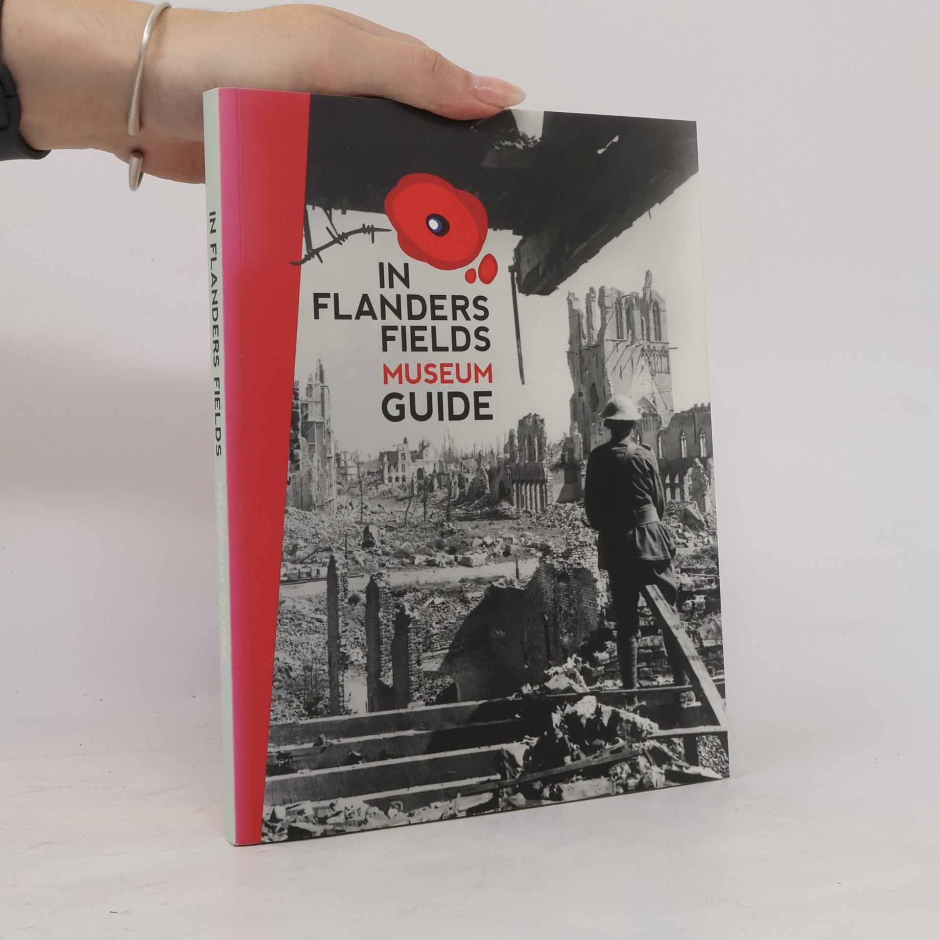 Piet Chielens In Flanders Fields Museum Guide