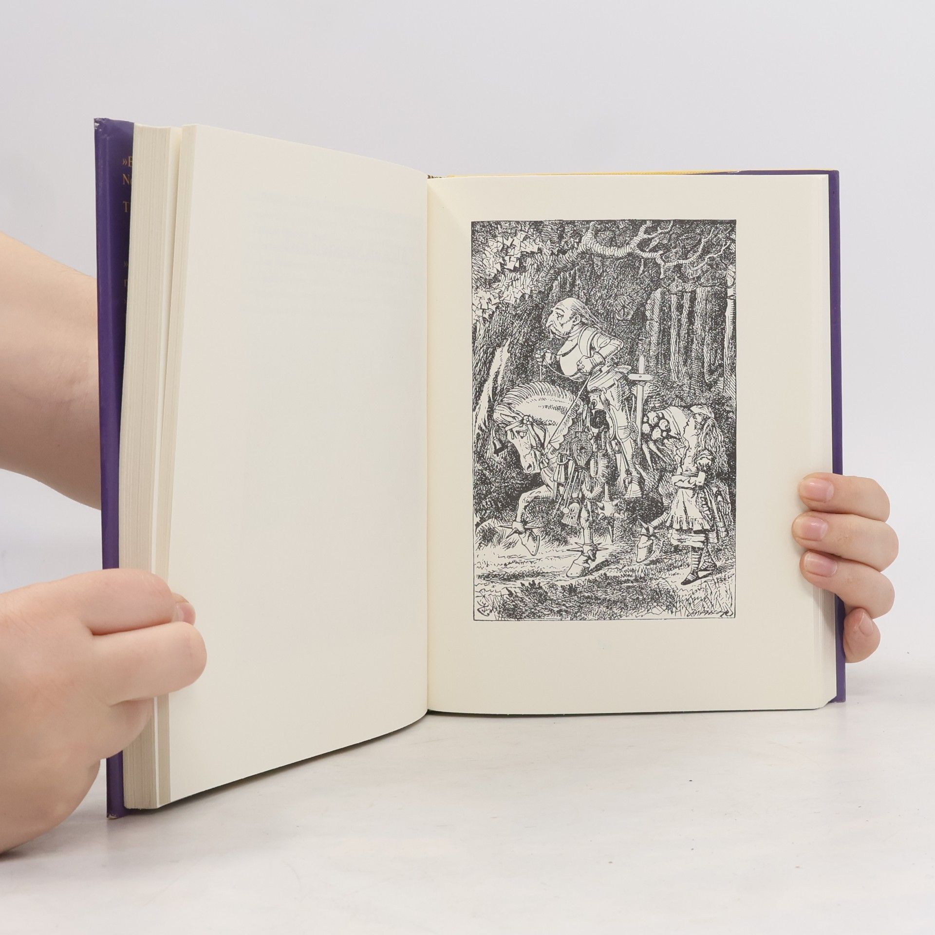 Lewis Carroll Alice im Wunderland und was Alice hinter dem Spiegel fand