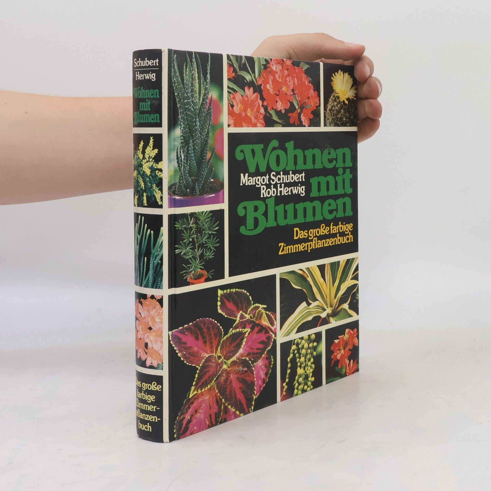 Margot Schubert Wohnen mit Blumen