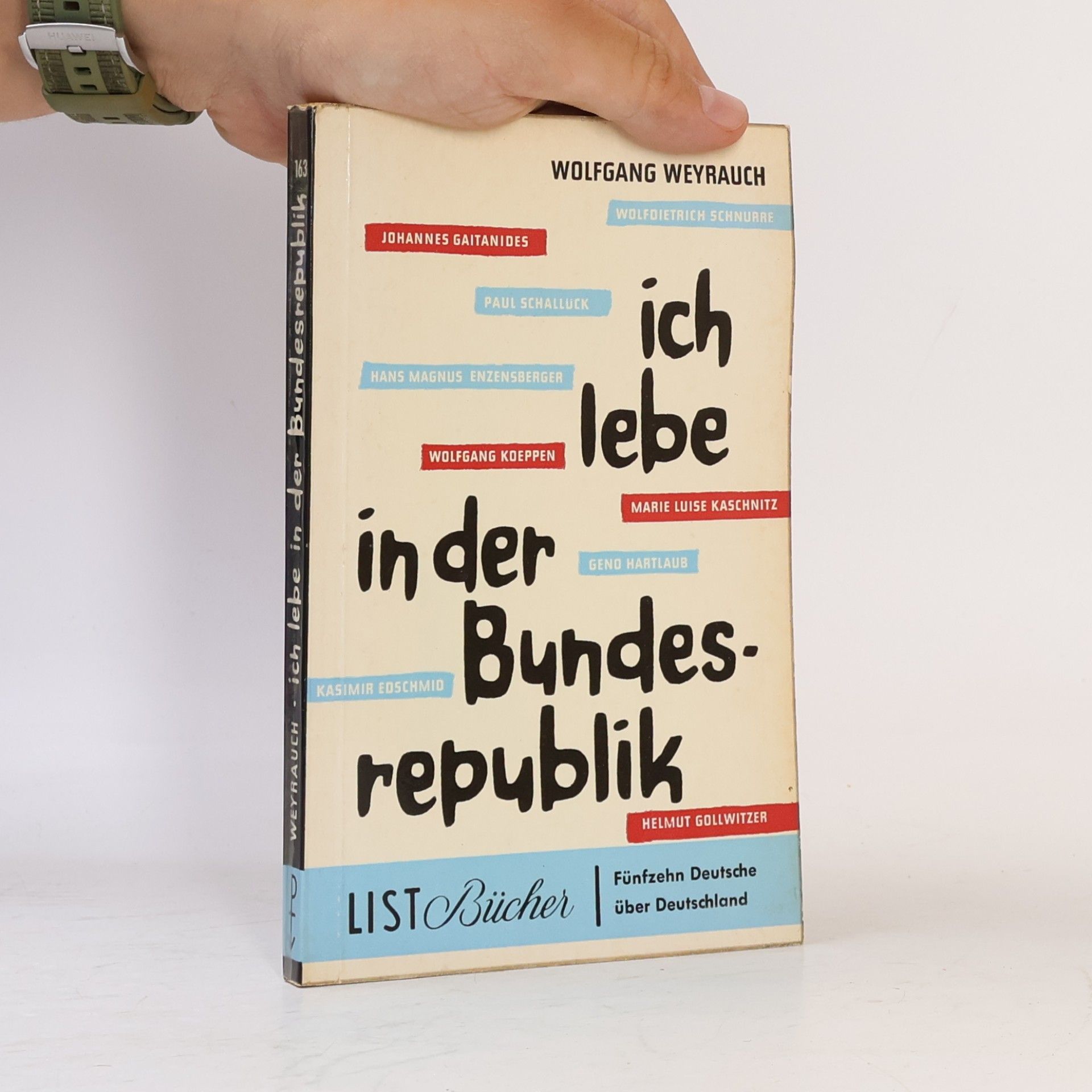 Ich lebe in der Bundesrepublik. Fünfzehn Deutsche über Deutschland