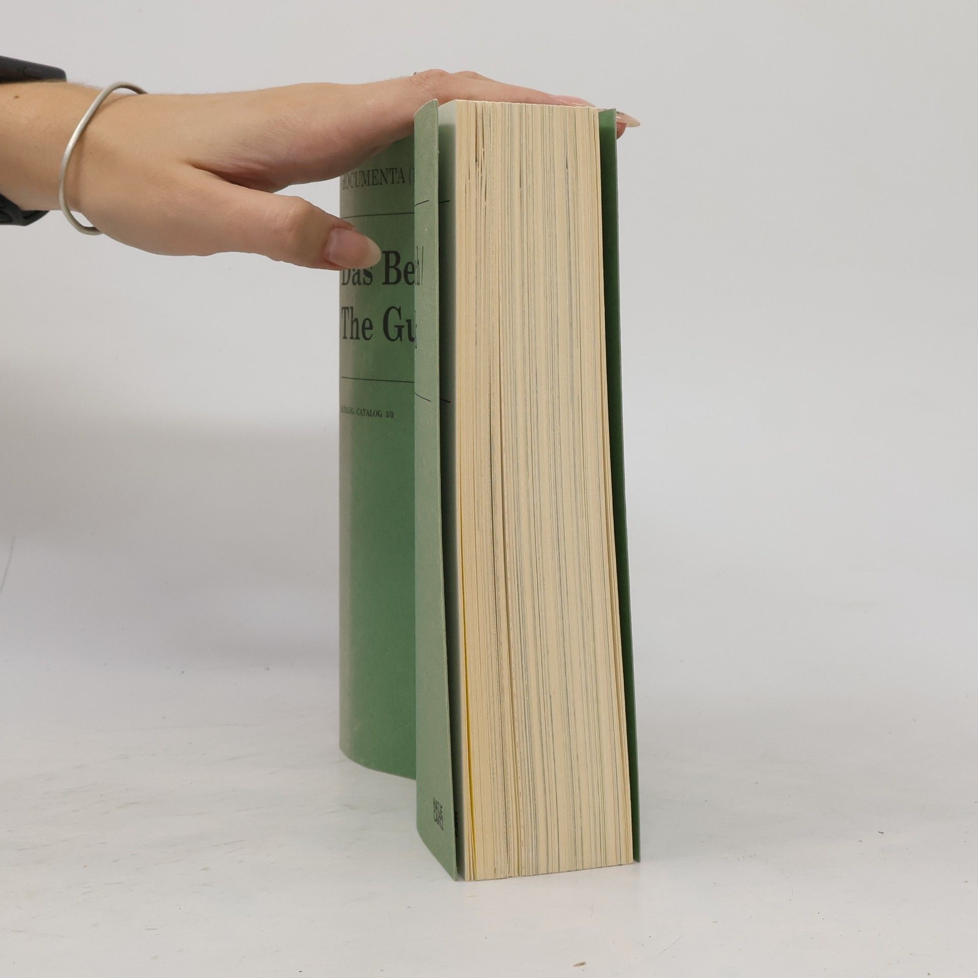 Eva Scharrer Das Begleitbuch. The Guidebook