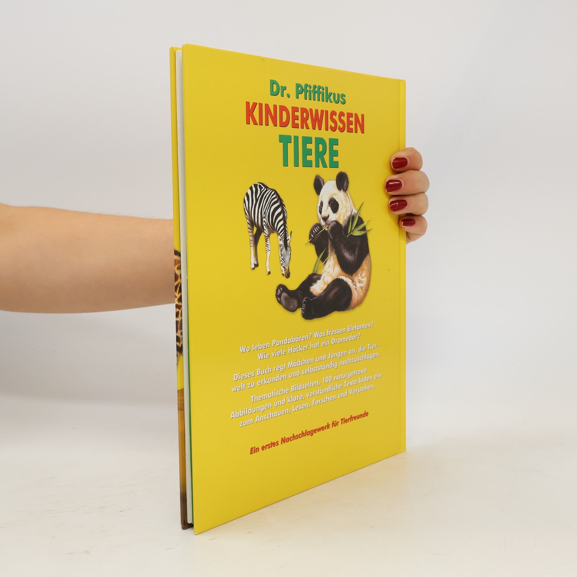 Autorenkollektiv Dr. Pfiffikus Kinderwissen Tiere