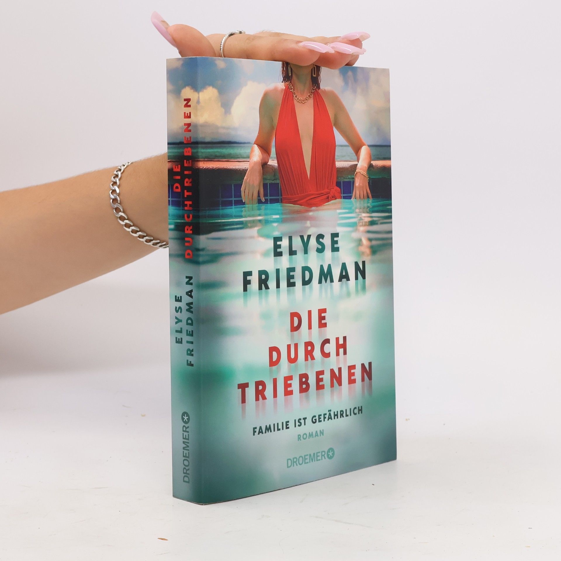 Elyse Friedman Die Durchtriebenen. Familie ist gefährlich. Roman | Bitter-böser Familien-Thriller aus Kanada