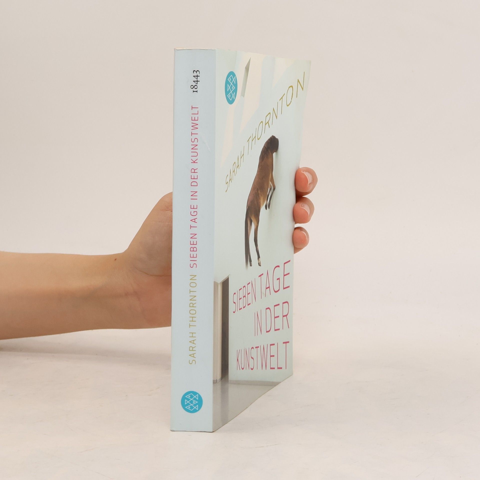 Sarah Thornton Sieben Tage in der Kunstwelt