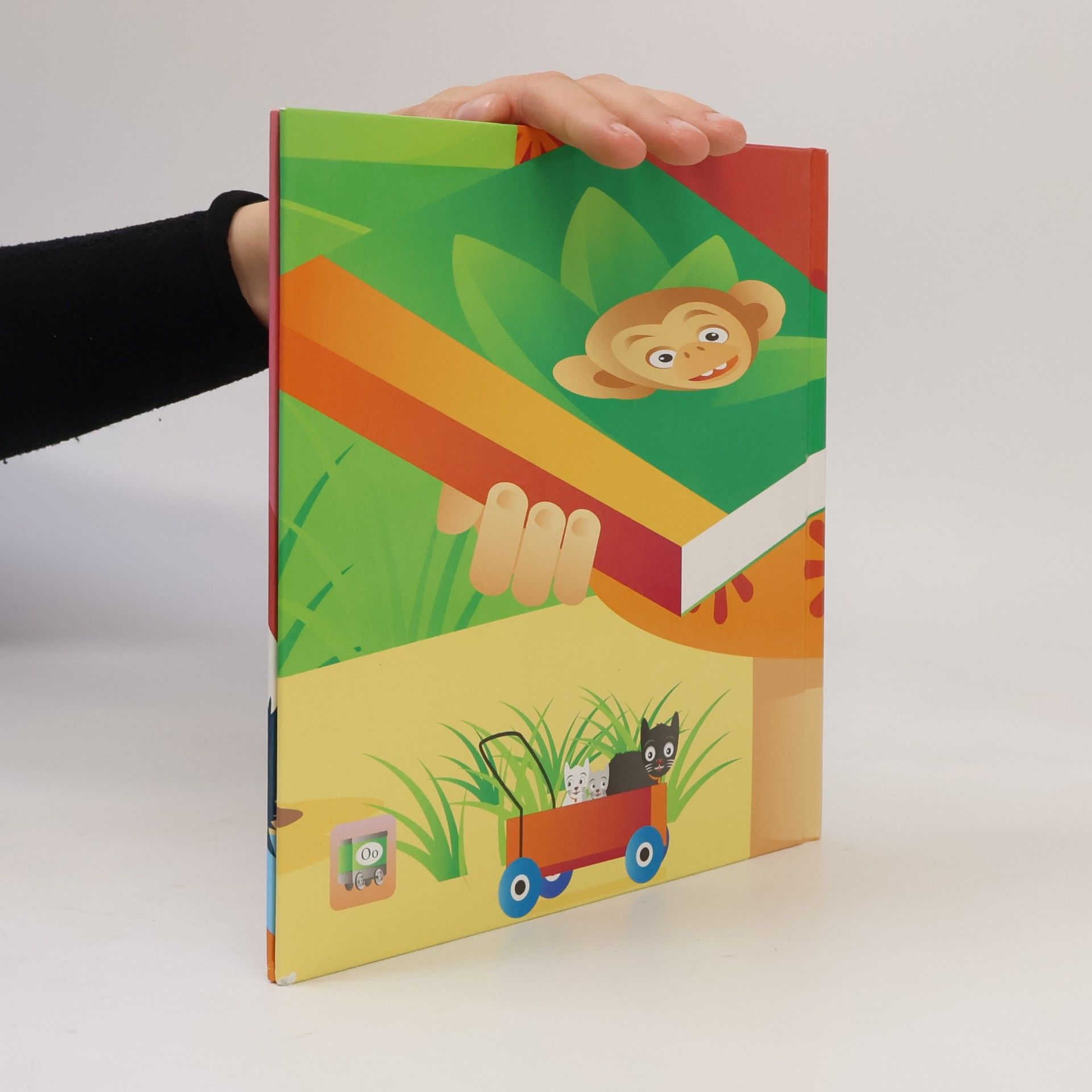 Pia Wall Buch O
